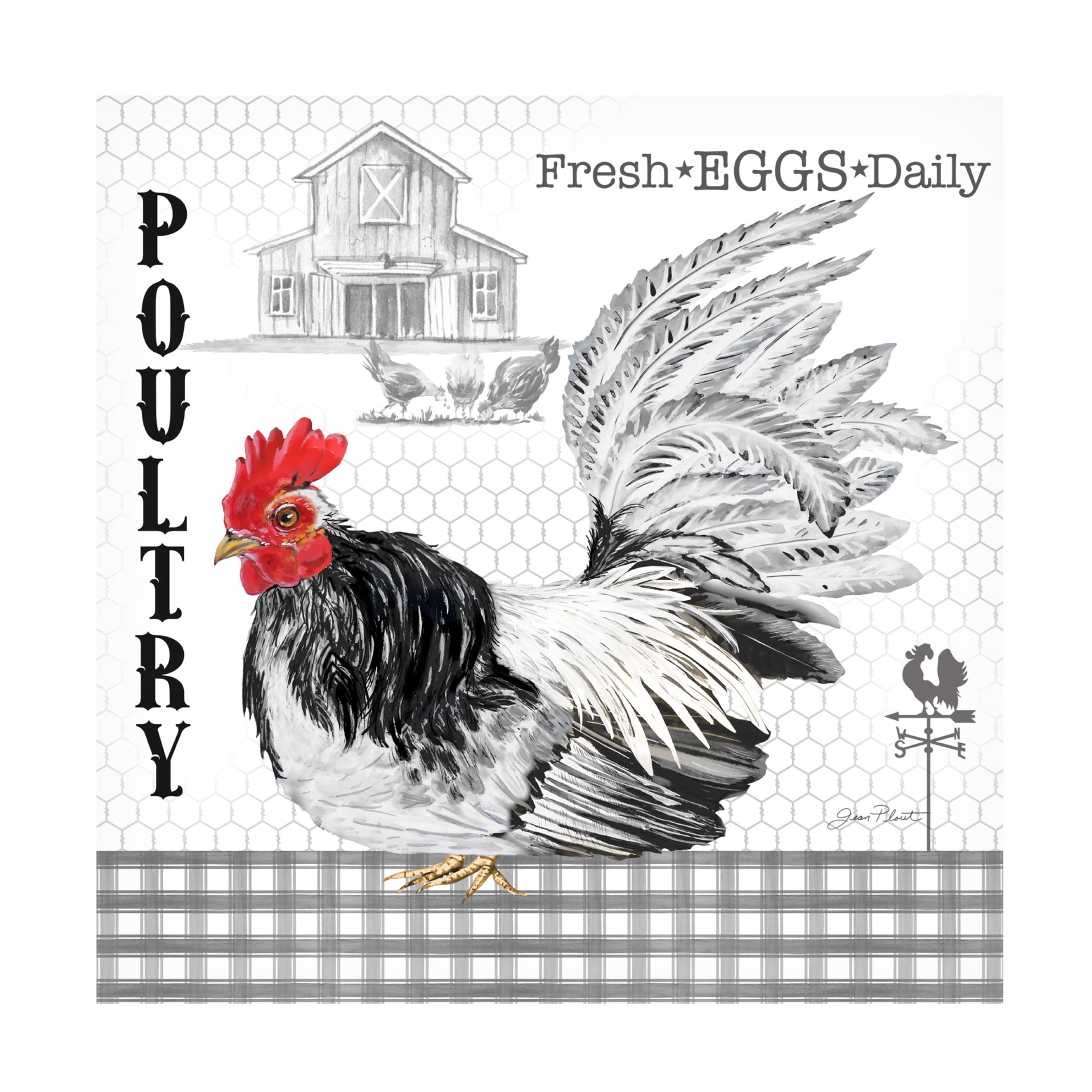 Canvas Wall Art - Jean Plout 'Plaid Country Rooster C' Wall Art for Living Room, Bedroom, or Office Décor by Trademark Fine Art - 35 x 35 Inches