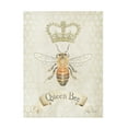 thumbnail image 1 of Canvas Wall Art - Jean Plout 'Queen Bee Collection A' Wall Art for Living Room, Bedroom, or Office Décor by Trademark Fine Art - 24 x 32 Inches, 1 of 4
