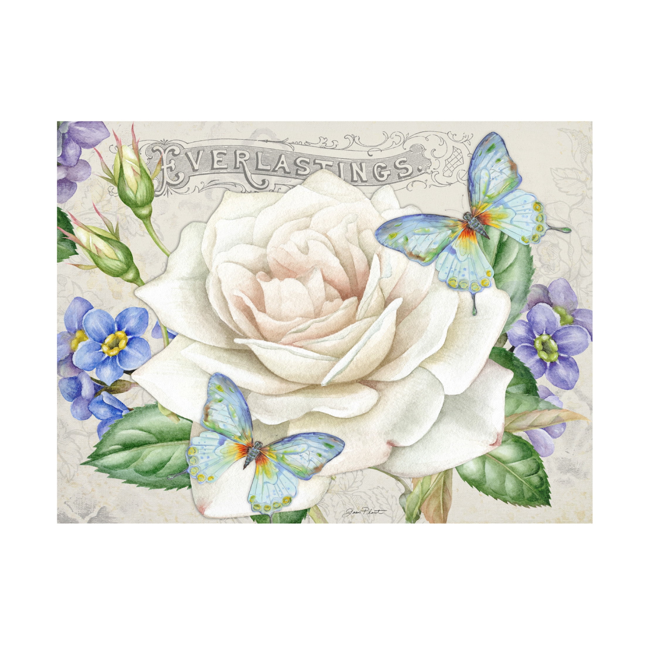 Canvas Wall Art - Jean Plout 'Rose Garden in Bloom A' Wall Art for Living Room, Bedroom, or Office Décor by Trademark Fine Art - 47 x 35 Inches
