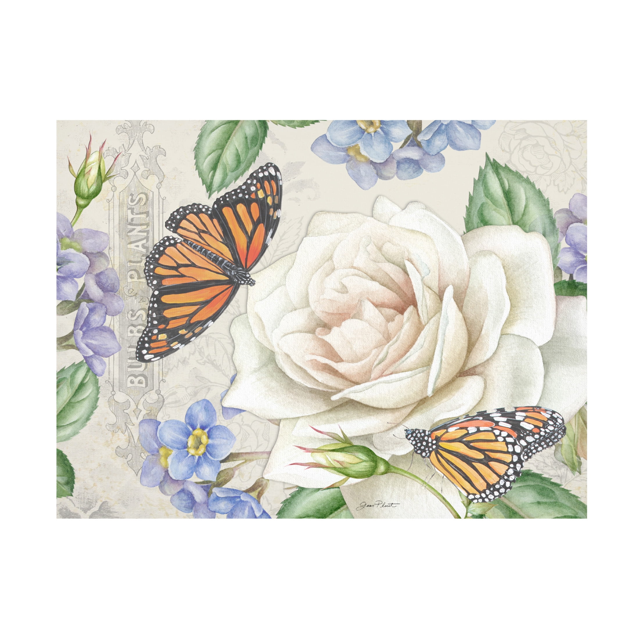 Canvas Wall Art - Jean Plout 'Rose Garden in Bloom C' Wall Art for Living Room, Bedroom, or Office Décor by Trademark Fine Art - 19 x 14 Inches