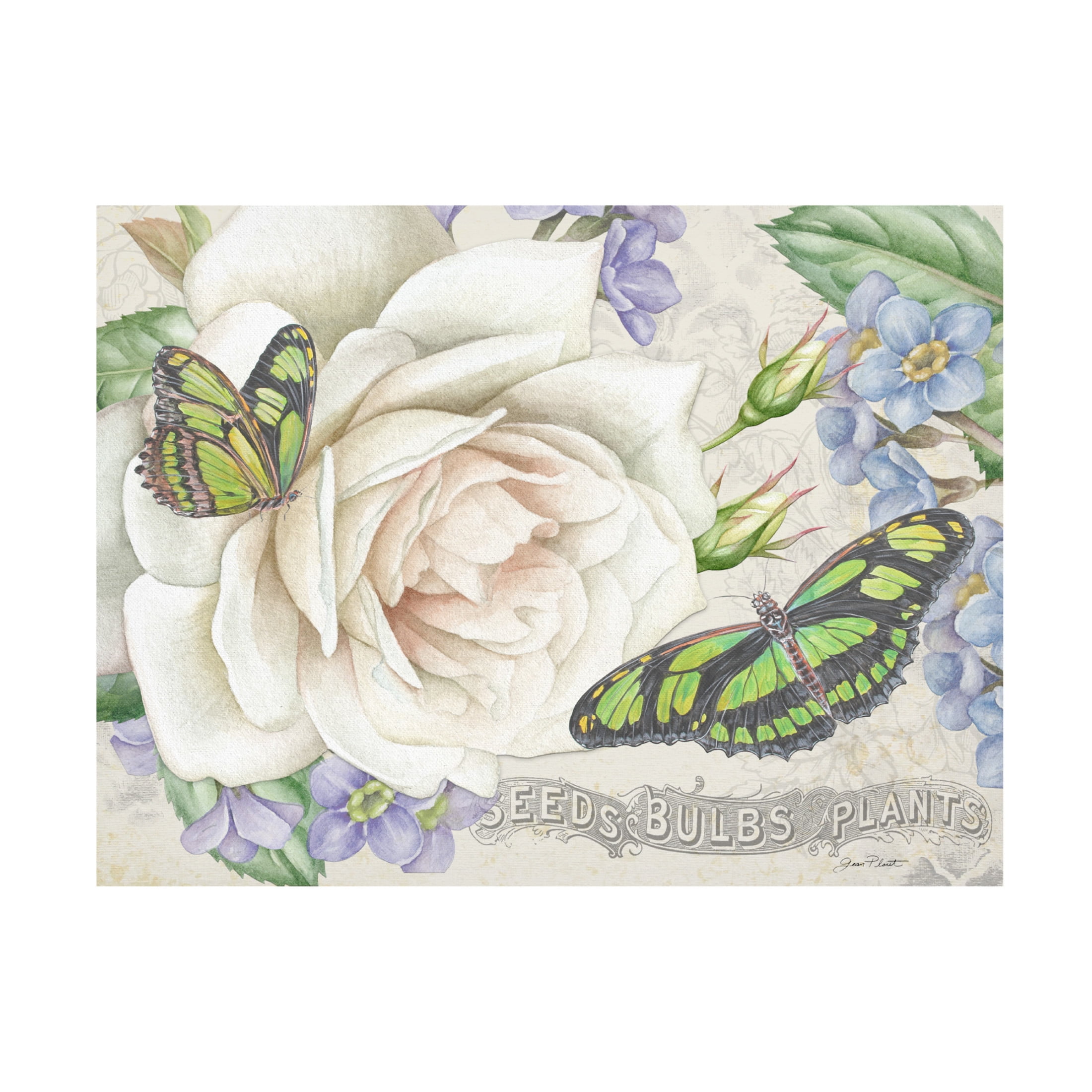 Canvas Wall Art - Jean Plout 'Rose Garden in Bloom D' Wall Art for Living Room, Bedroom, or Office Décor by Trademark Fine Art - 19 x 14 Inches