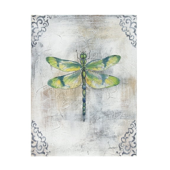 Canvas Wall Art - Jean Plout 'Textured Watercolor Wings C' Wall Art for Living Room, Bedroom, or Office Décor by Trademark Fine Art - 35 x 47 Inches