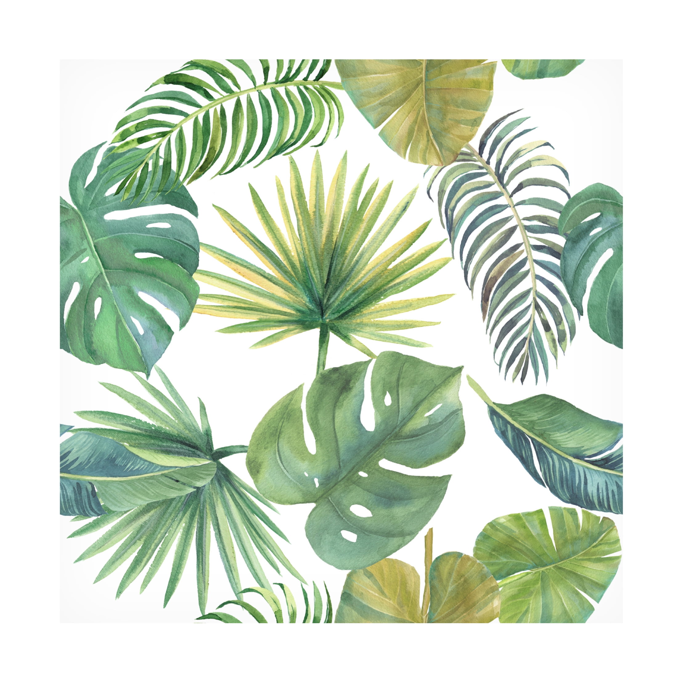 Canvas Wall Art - Jean Plout 'Tropical Beauty A' Wall Art for Living Room, Bedroom, or Office Décor by Trademark Fine Art - 24 x 24 Inches