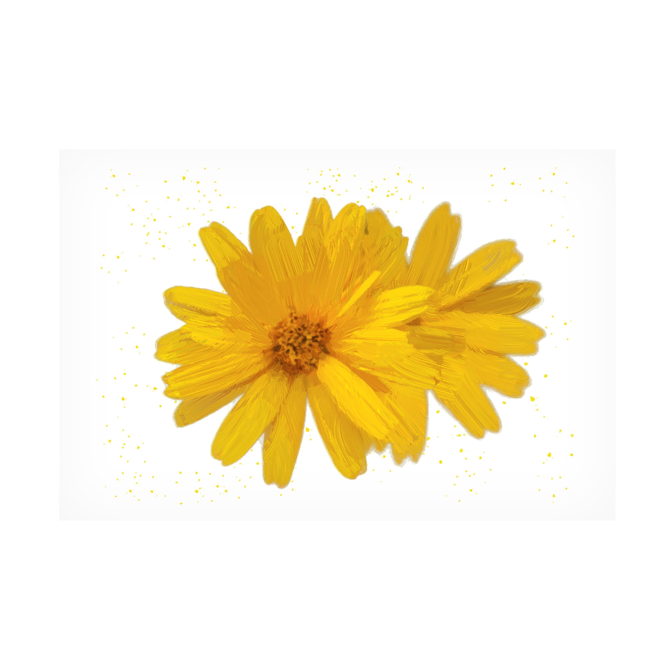 Canvas Wall Art - Jeff Pica 'Yellow Asters' Wall Art for Living Room, Bedroom, or Office Décor by Trademark Fine Art - 24 x 16 Inches