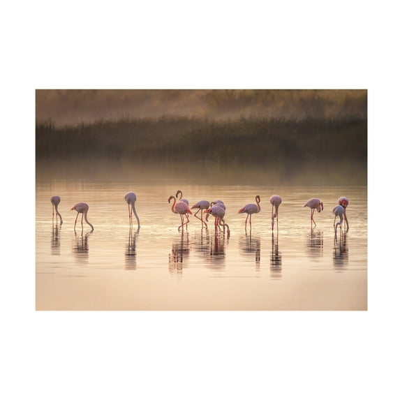 Canvas Wall Art - Jeffrey C. Sink 'Photographic Ode To Monet' Wall Art for Living Room, Bedroom, or Office Décor by Trademark Fine Art - 19 x 12 Inches