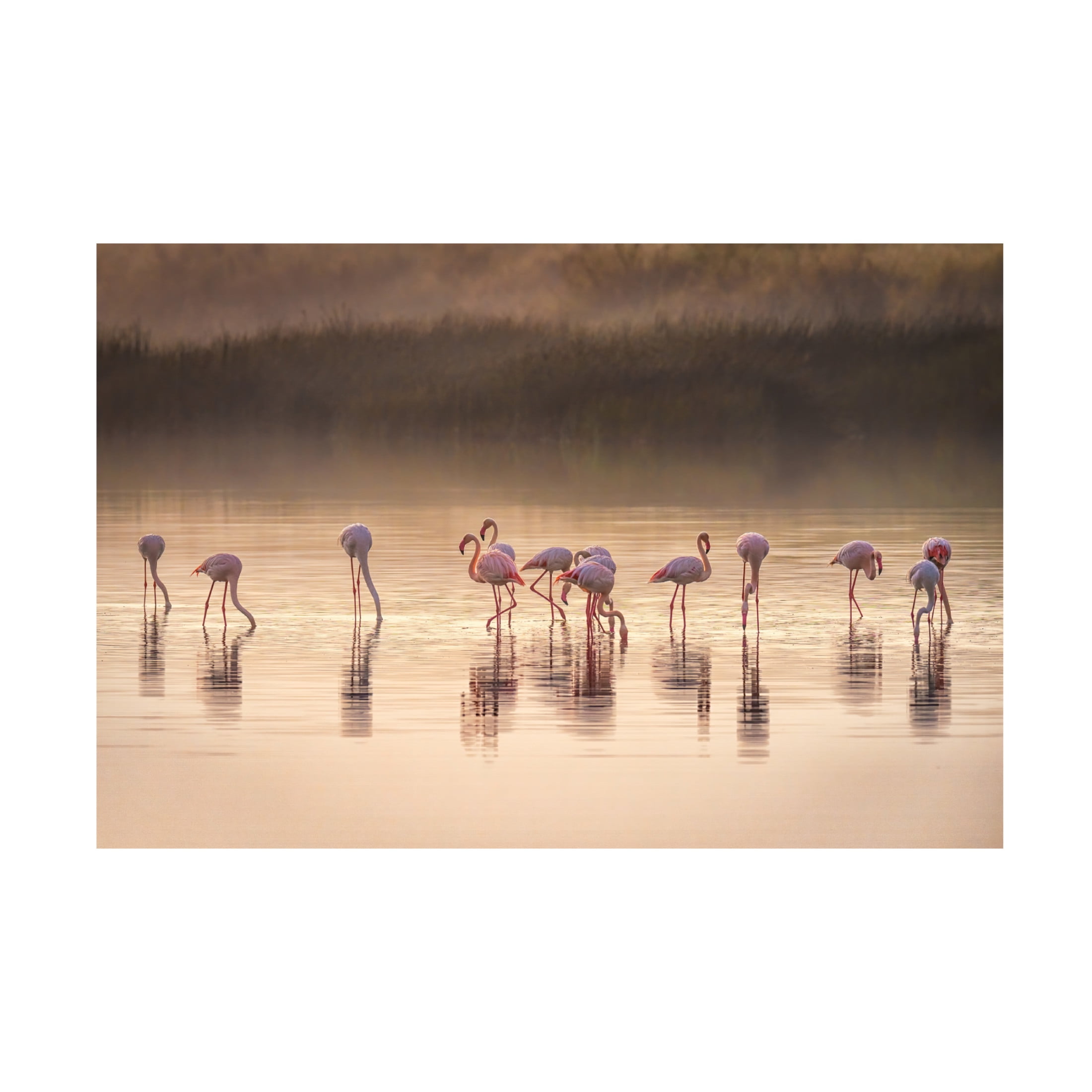 Canvas Wall Art - Jeffrey C. Sink 'Photographic Ode To Monet' Wall Art for Living Room, Bedroom, or Office Décor by Trademark Fine Art - 47 x 30 Inches