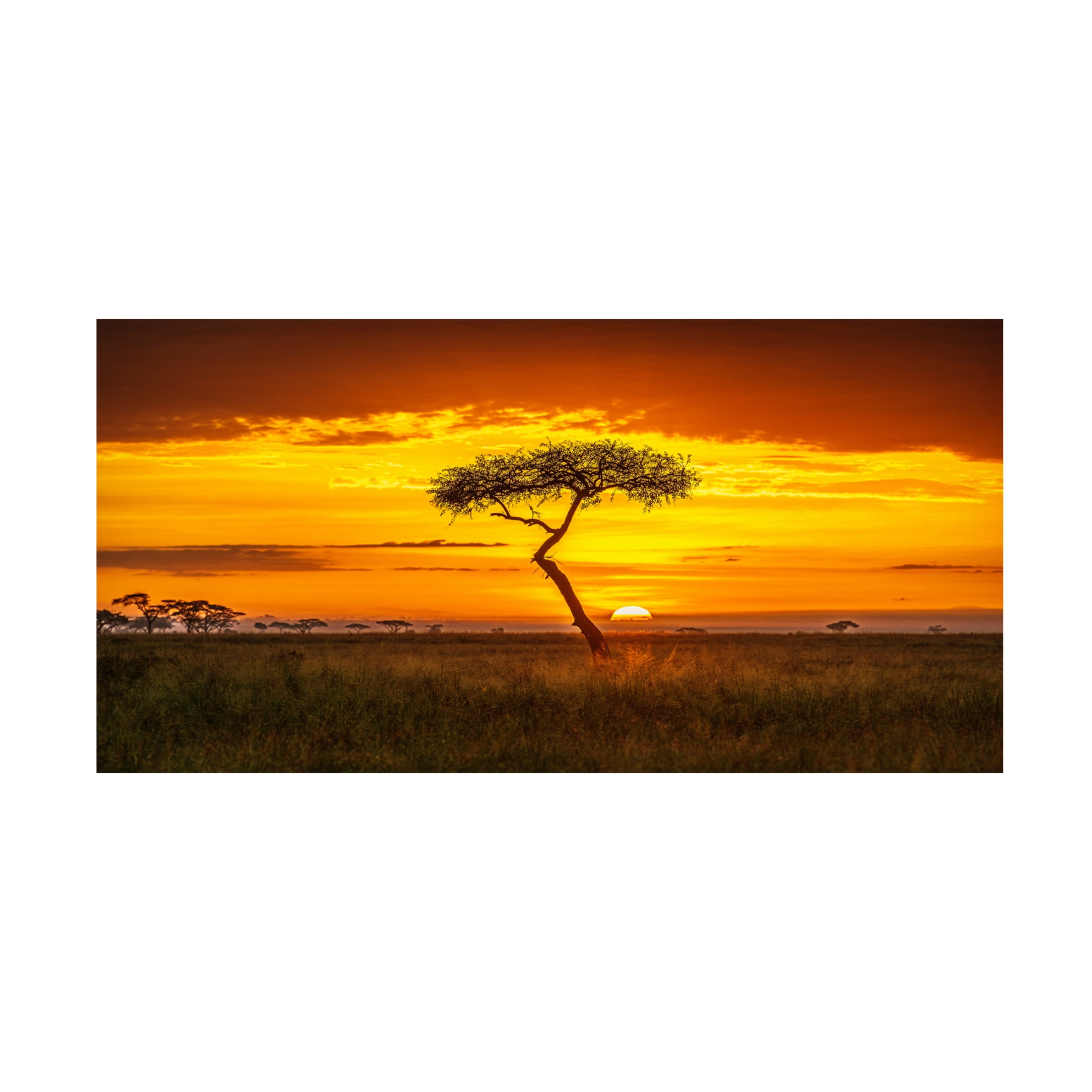 Canvas Wall Art - Jeffrey C. Sink 'Primordial Africa' Wall Art for Living Room, Bedroom, or Office Décor by Trademark Fine Art - 32 x 16 Inches