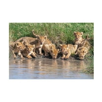 Canvas Wall Art - Jeffrey C. Sink 'Putting The Band Back Together' Wall Art for Living Room, Bedroom, or Office Décor by Trademark Fine Art - 19 x 12 Inches