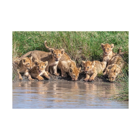 Canvas Wall Art - Jeffrey C. Sink 'Putting The Band Back Together' Wall Art for Living Room, Bedroom, or Office Décor by Trademark Fine Art - 47 x 30 Inches