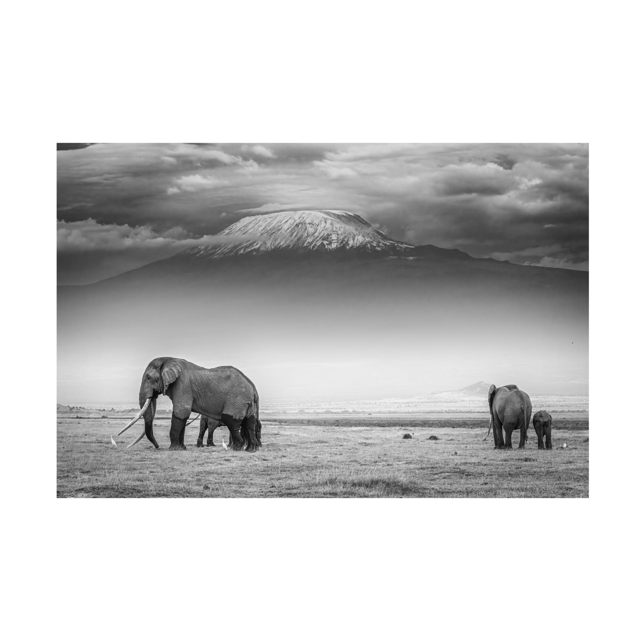 Canvas Wall Art - Jeffrey C. Sink 'The Land Of Giants' Wall Art for Living Room, Bedroom, or Office Décor by Trademark Fine Art - 32 x 22 Inches