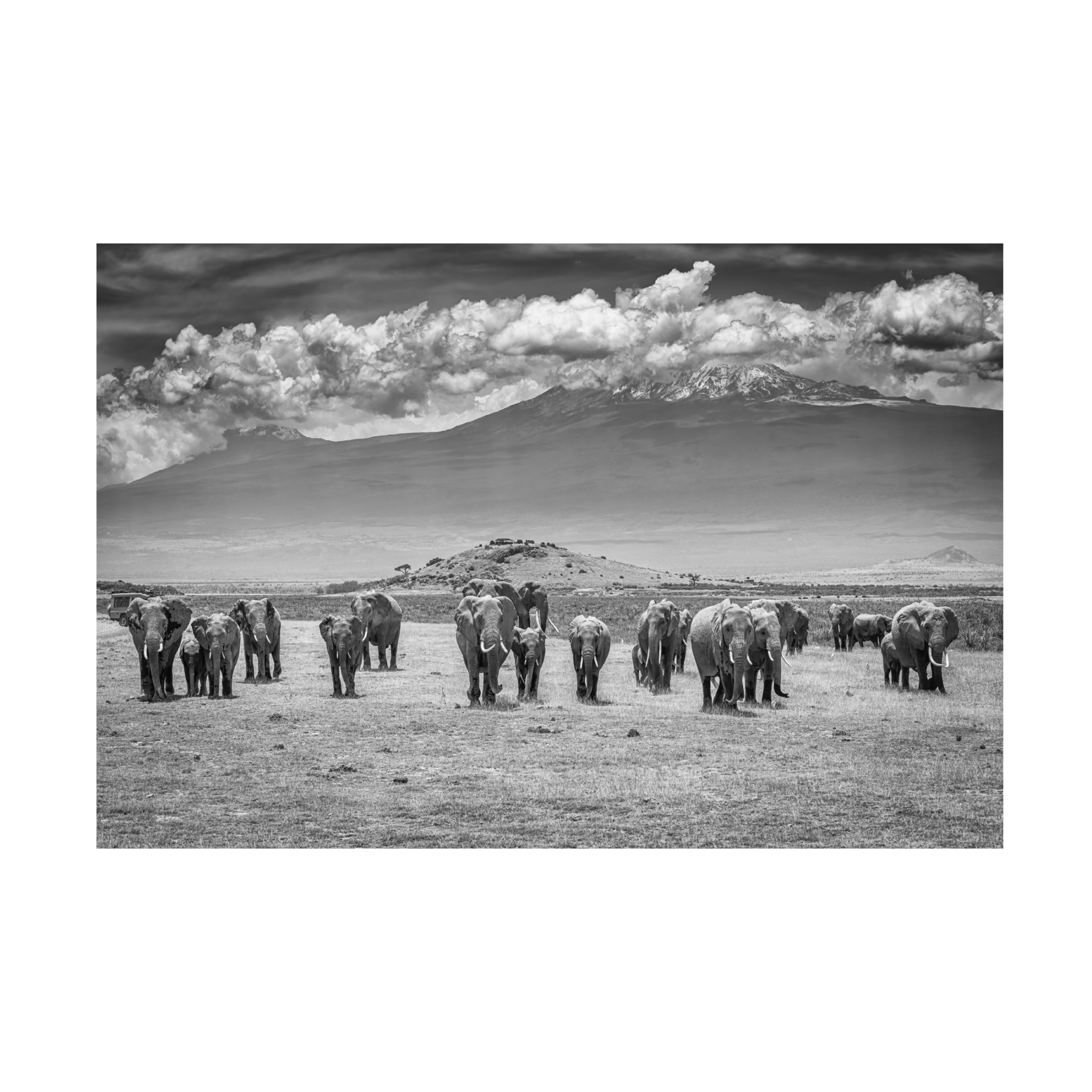 Canvas Wall Art - Jeffrey C. Sink 'The Titans' Wall Art for Living Room, Bedroom, or Office Décor by Trademark Fine Art - 47 x 30 Inches