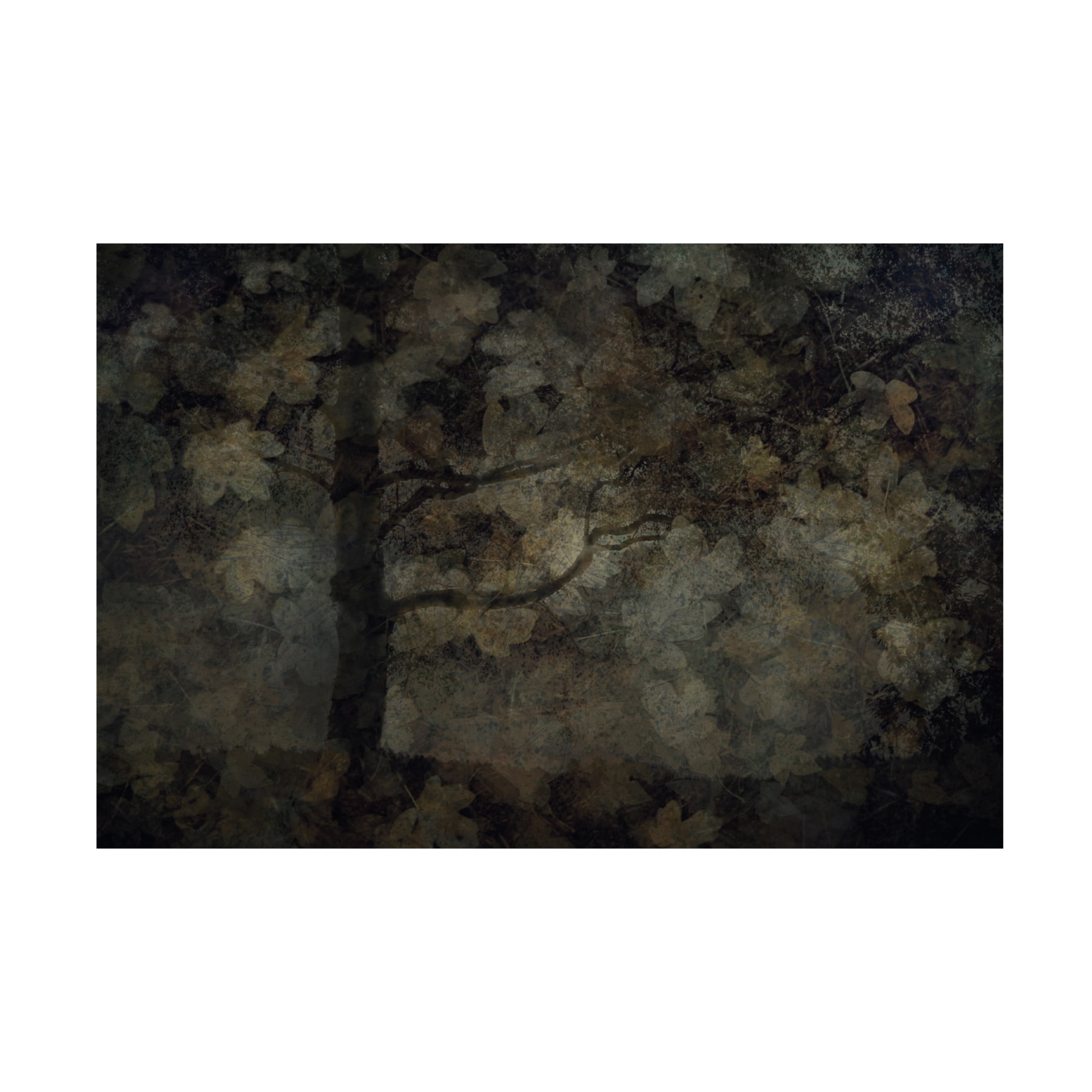 Canvas Wall Art - Jeffrey Hummel 'Dark Forest' Wall Art for Living Room, Bedroom, or Office Décor by Trademark Fine Art - 32 x 22 Inches
