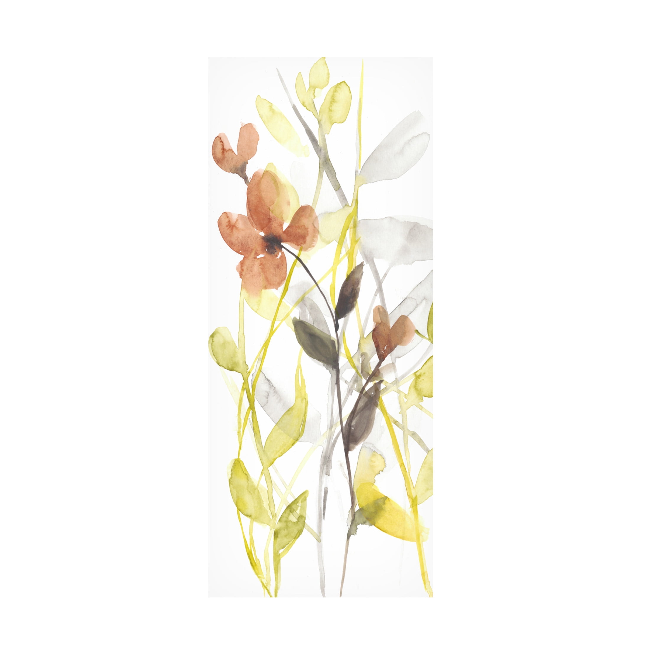 Canvas Wall Art - Jennifer Goldberger 'Flowers of the Earth I' Wall Art for Living Room, Bedroom, or Office Décor by Trademark Fine Art - 8 x 19 Inches