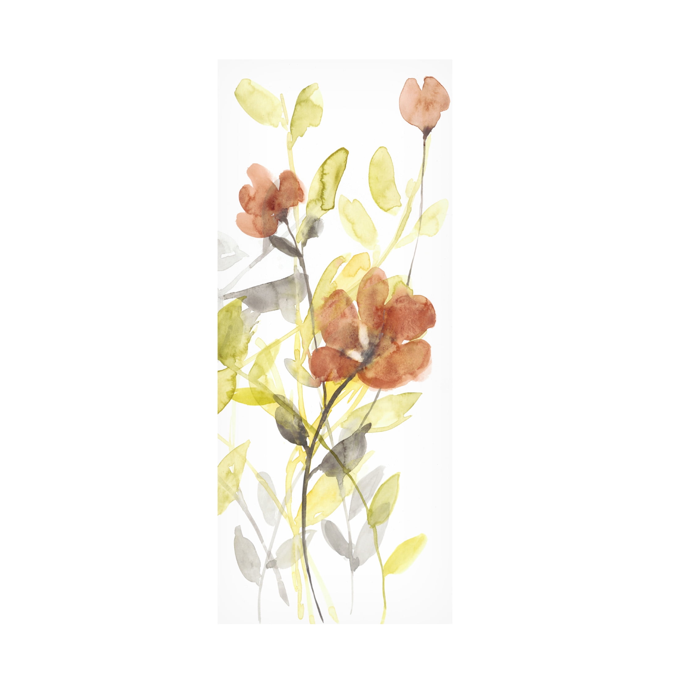 Canvas Wall Art - Jennifer Goldberger 'Flowers of the Earth II' Wall Art for Living Room, Bedroom, or Office Décor by Trademark Fine Art - 14 x 32 Inches
