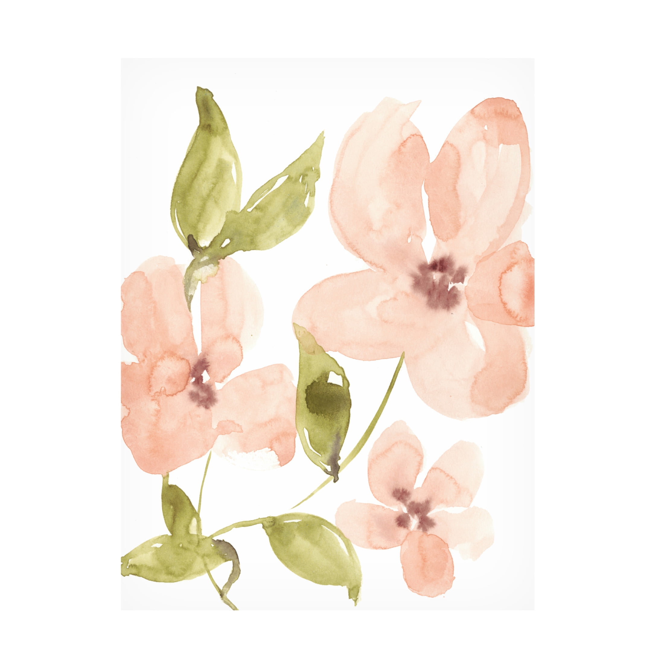 Canvas Wall Art - Jennifer Goldberger 'Soft Coral Blooms I' Wall Art for Living Room, Bedroom, or Office Décor by Trademark Fine Art - 18 x 24 Inches