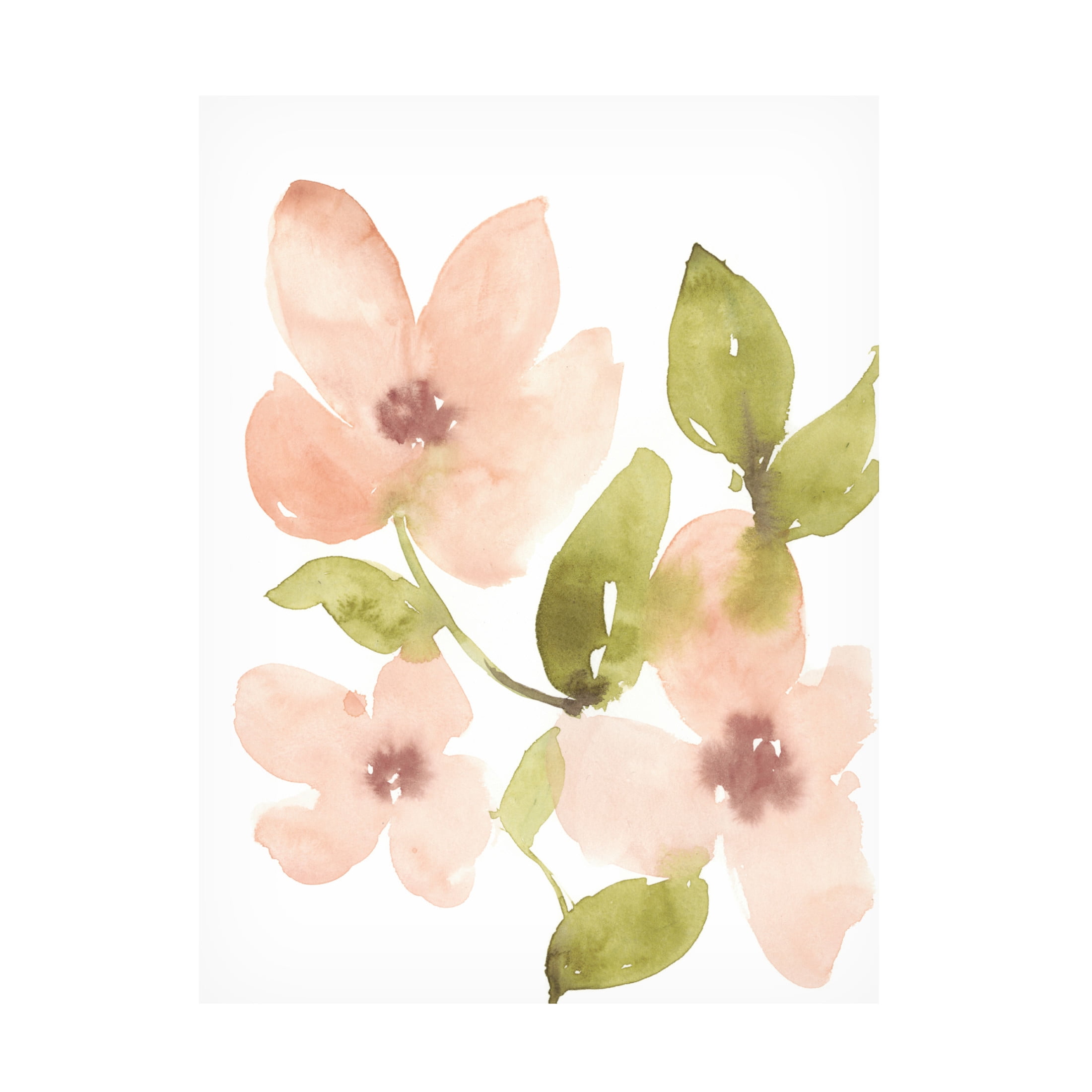 Canvas Wall Art - Jennifer Goldberger 'Soft Coral Blooms II' Wall Art for Living Room, Bedroom, or Office Décor by Trademark Fine Art - 35 x 47 Inches
