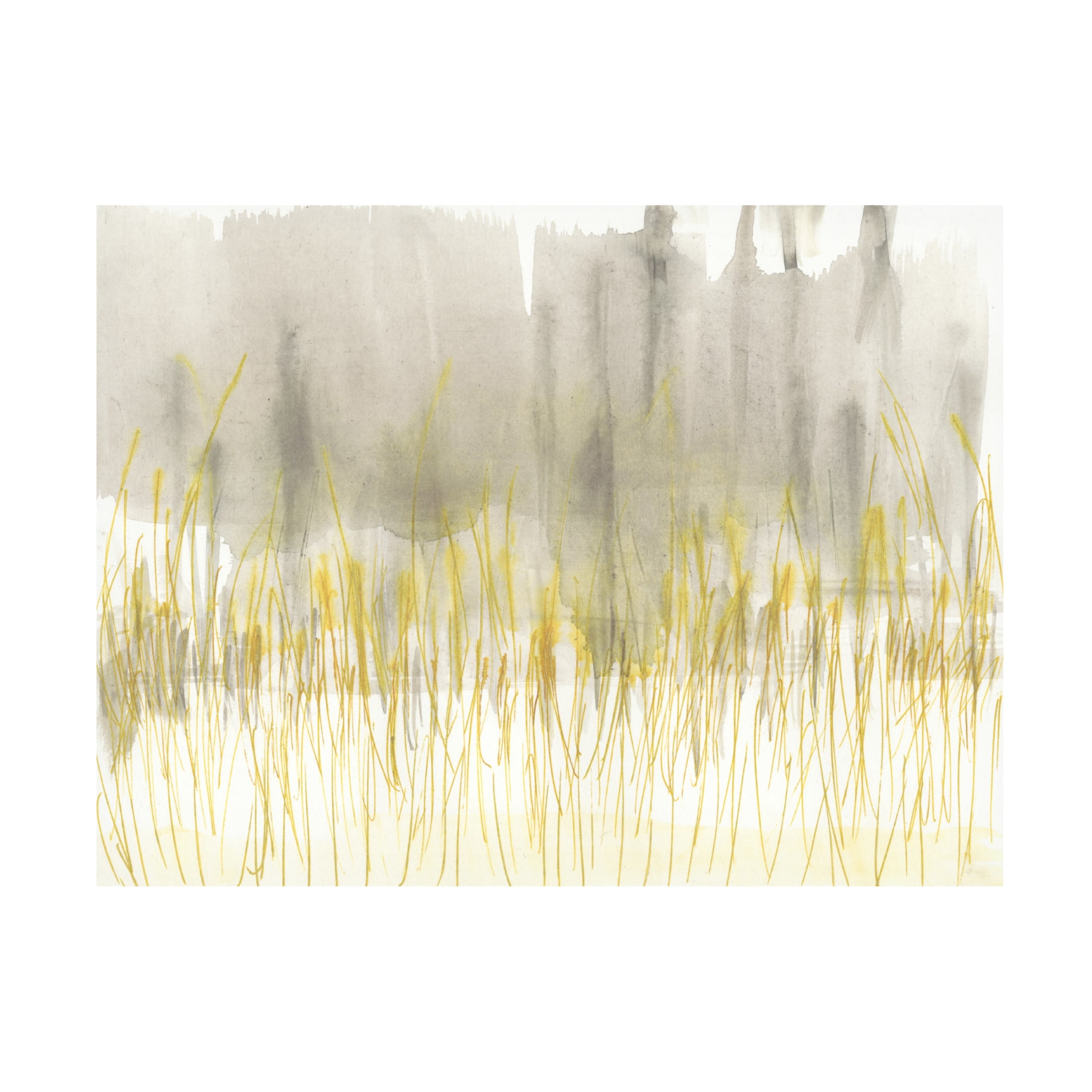 Canvas Wall Art - Jennifer Goldberger 'Winter Grasses II' Wall Art for Living Room, Bedroom, or Office Décor by Trademark Fine Art - 47 x 35 Inches