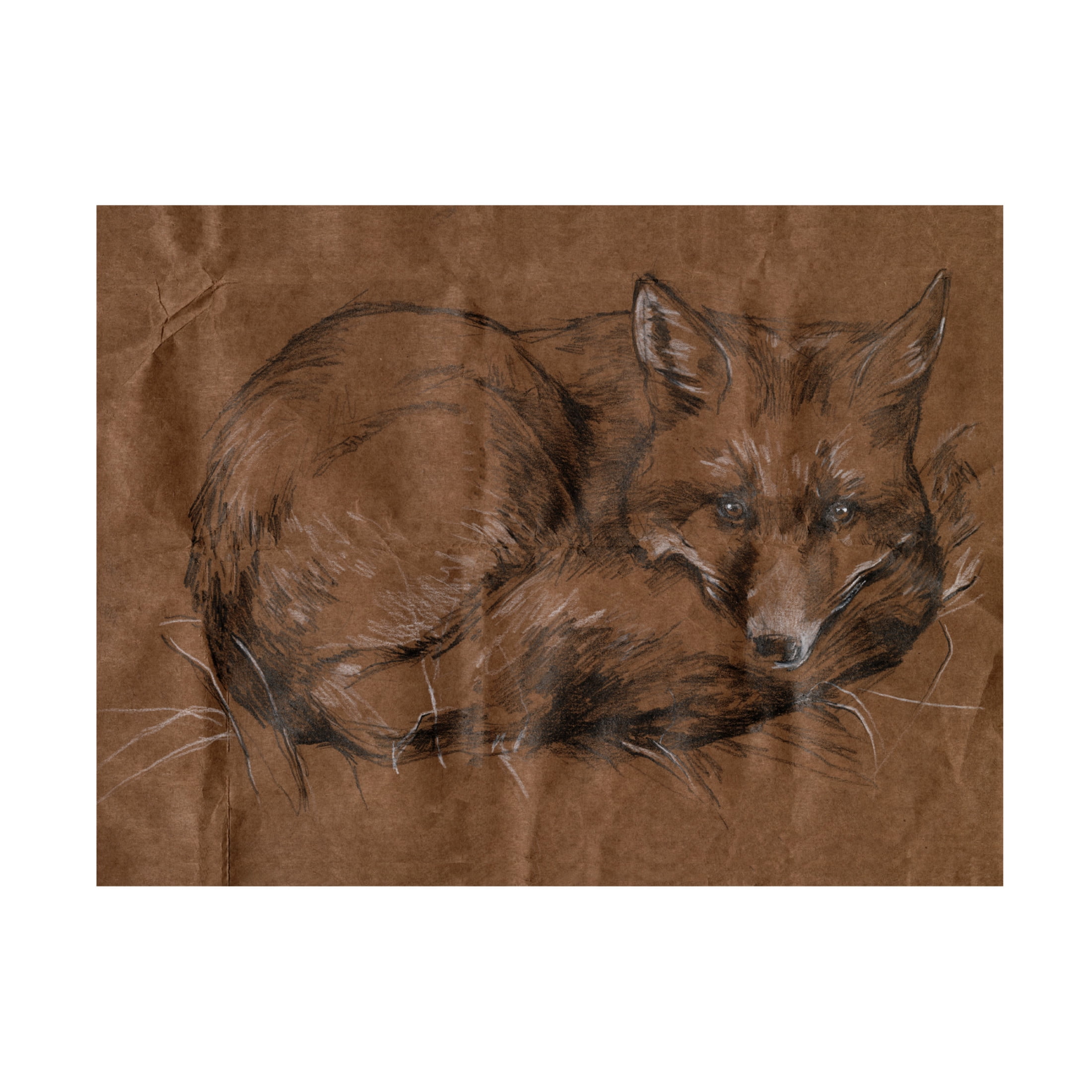 Canvas Wall Art - Jennifer Paxton Parker 'Crafty Fox I' Wall Art for Living Room, Bedroom, or Office Décor by Trademark Fine Art - 24 x 18 Inches