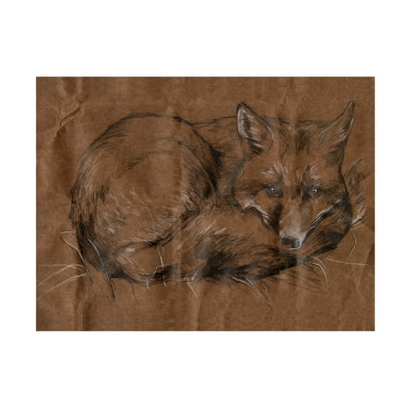 Canvas Wall Art - Jennifer Paxton Parker 'Crafty Fox I' Wall Art for Living Room, Bedroom, or Office Décor by Trademark Fine Art - 24 x 18 Inches