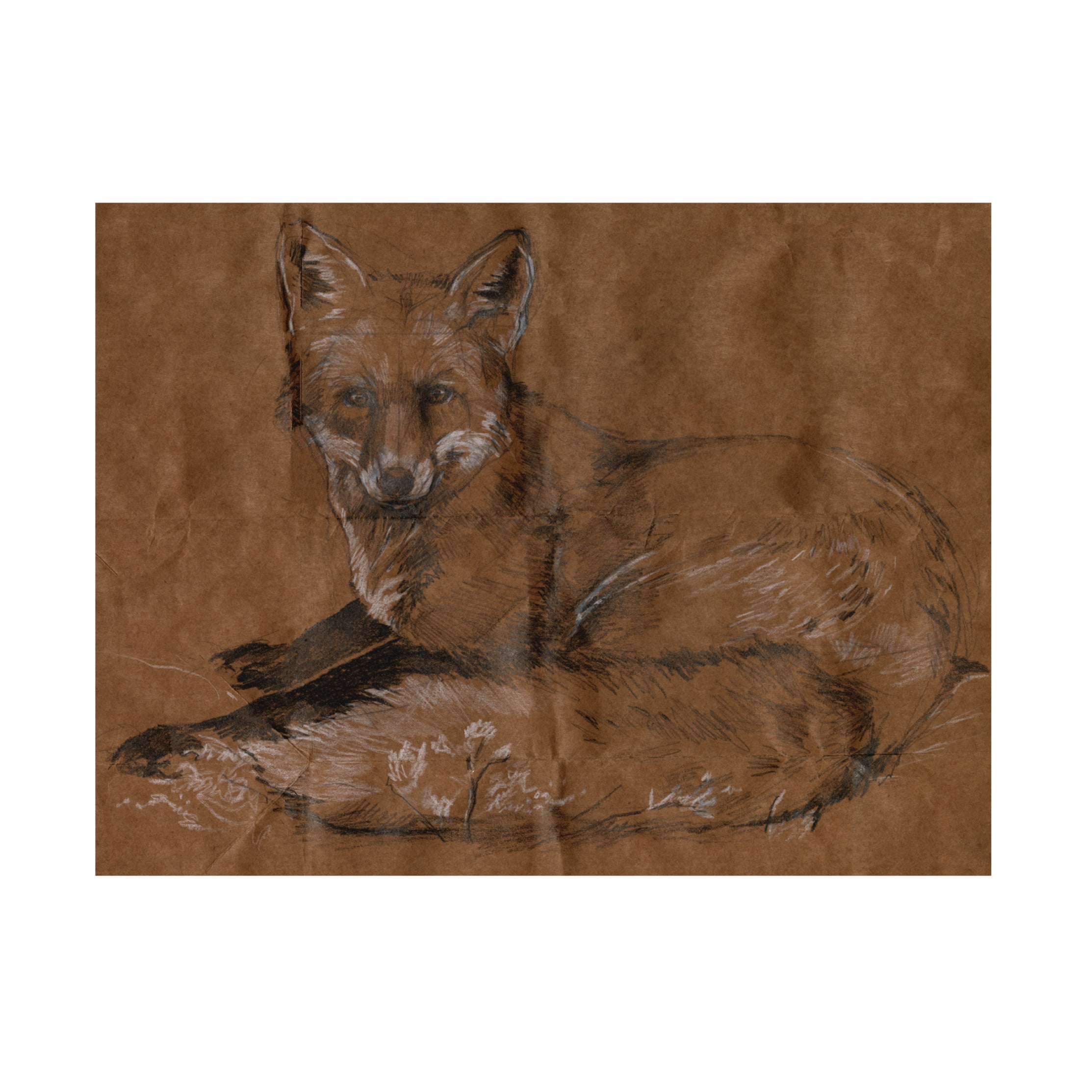 Canvas Wall Art - Jennifer Paxton Parker 'Crafty Fox II' Wall Art for Living Room, Bedroom, or Office Décor by Trademark Fine Art - 32 x 24 Inches
