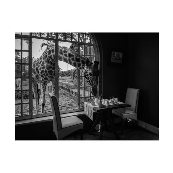 Canvas Wall Art - Jie Fischer 'Breakfast Time' Wall Art for Living Room, Bedroom, or Office D?cor by Trademark Fine Art - 19 x 14 Inches