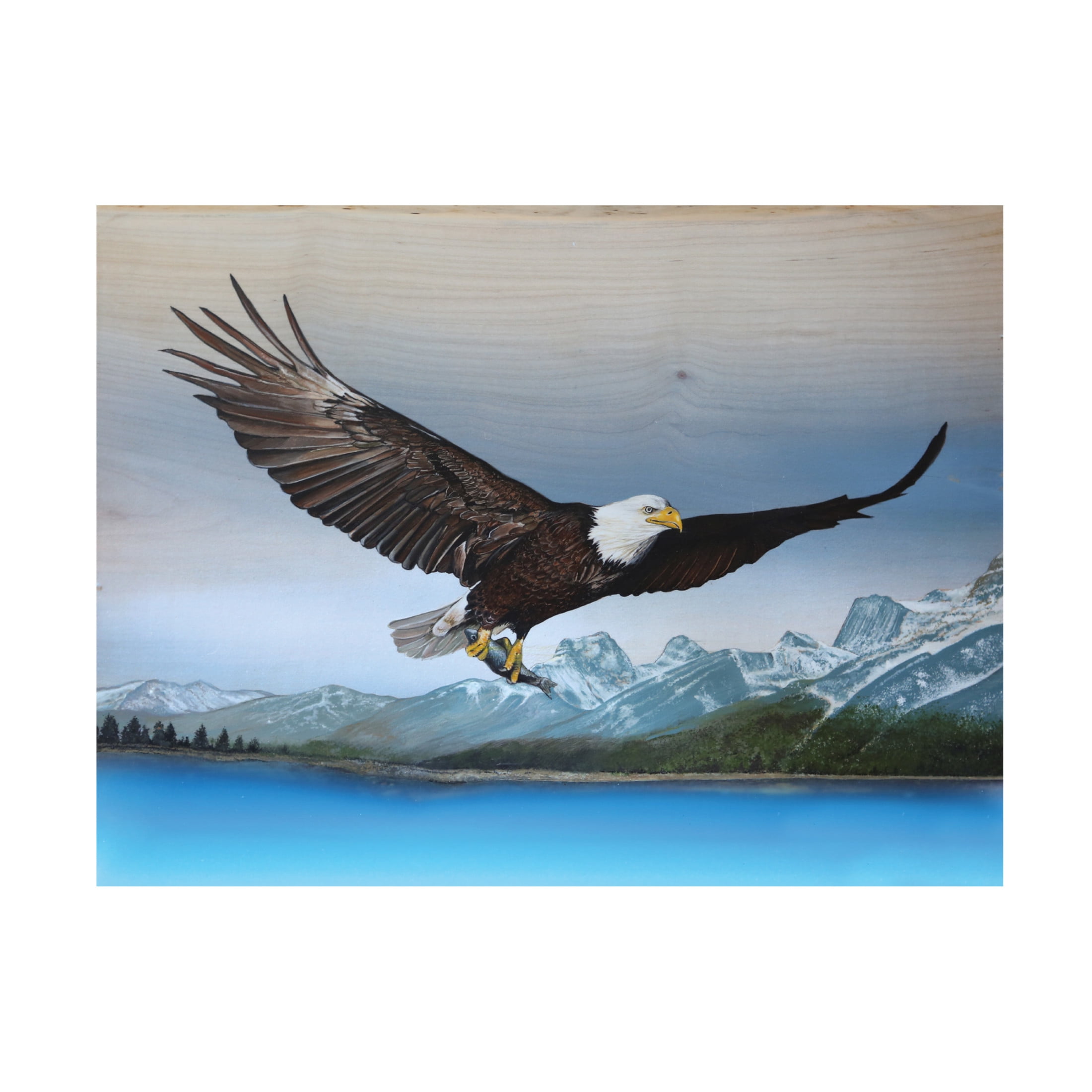 Bald Eagle Mountain Landscape Framed Canvas Wall Art