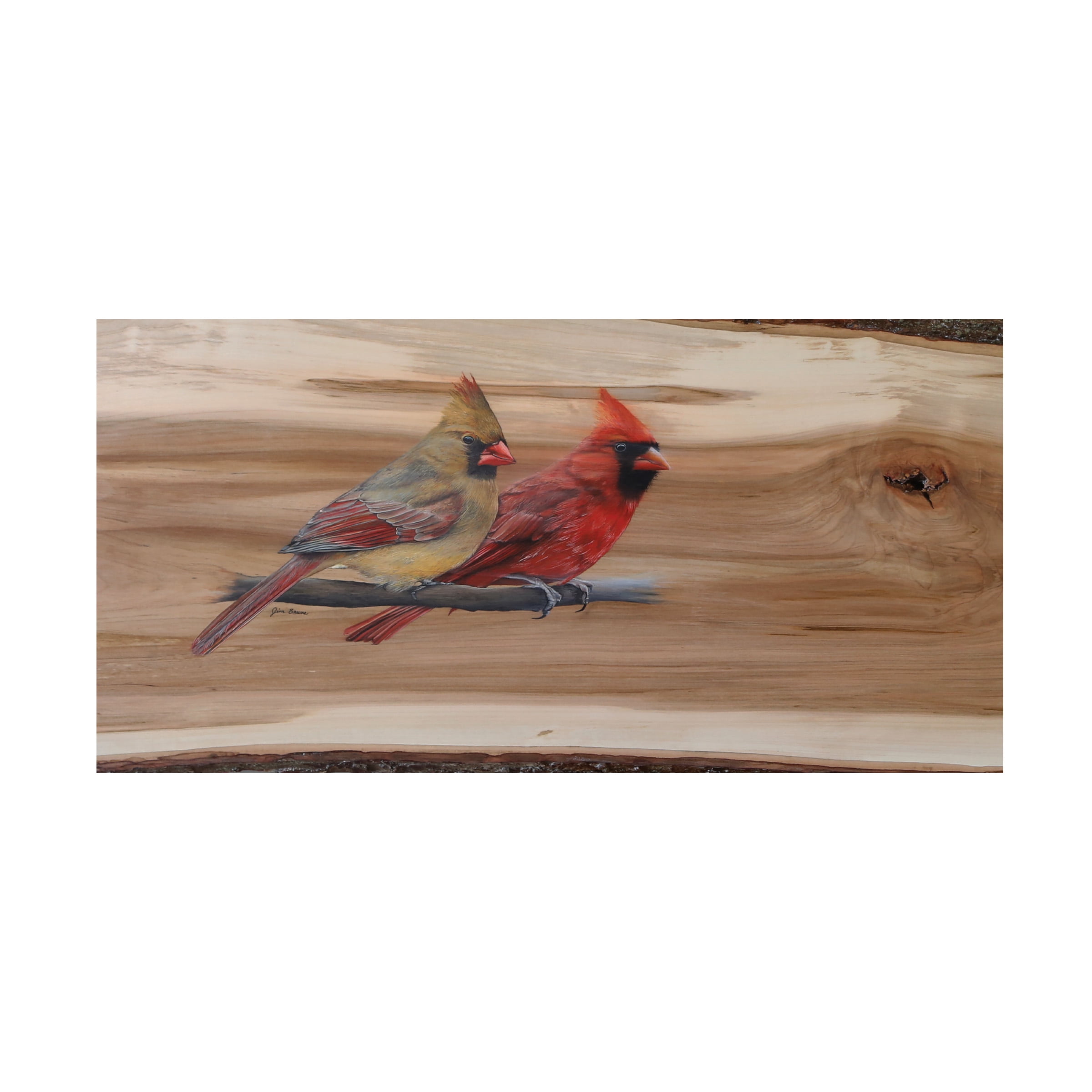 Canvas Wall Art - Jim Brune 'Cardinal Pair For Life' Wall Art for Living Room, Bedroom, or Office DÃ©cor by Trademark Fine Art - 32 x 16 Inches