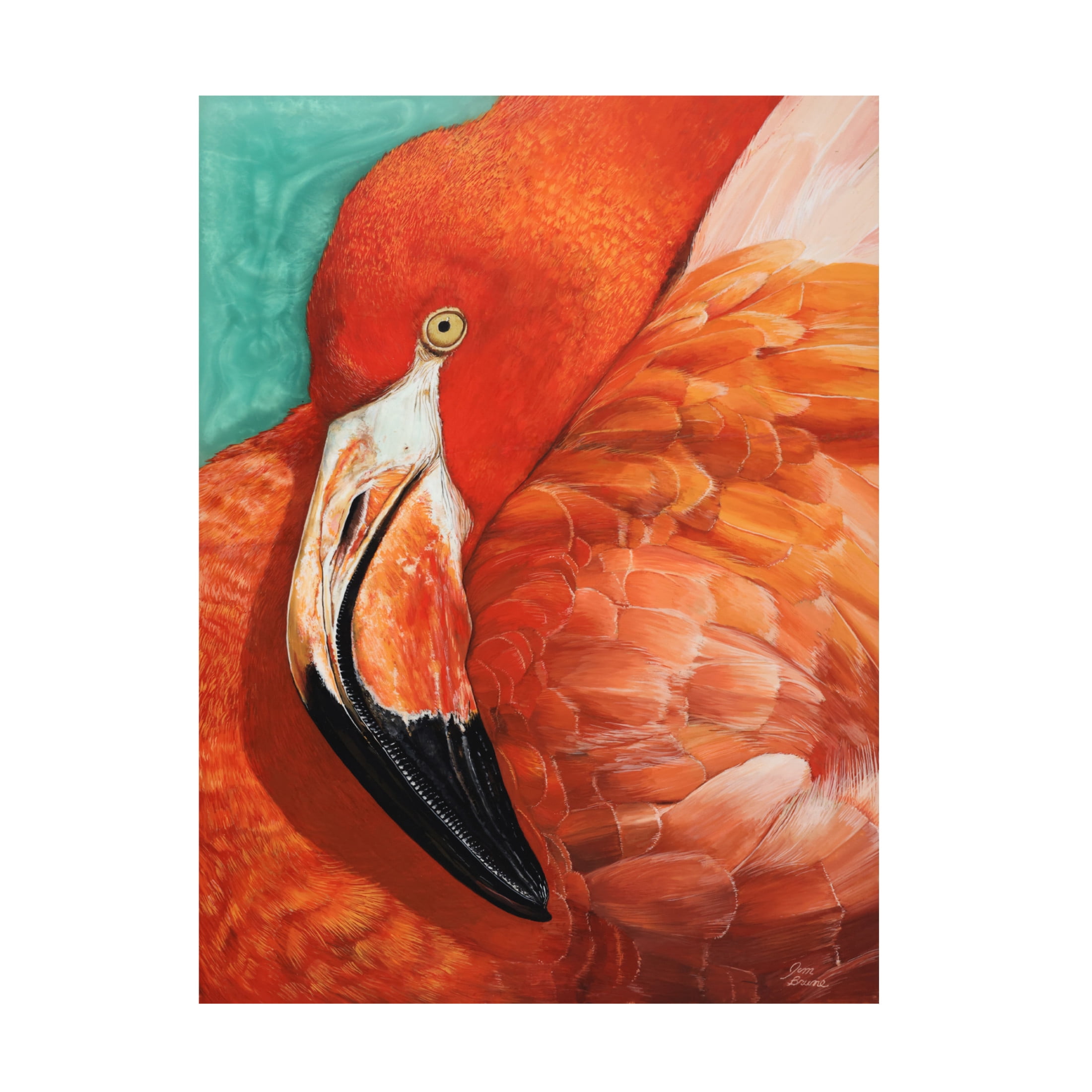 Canvas Wall Art - Jim Brune 'Graceful Pink Flamingo' Wall Art for Living Room, Bedroom, or Office Décor by Trademark Fine Art - 14 x 19 Inches