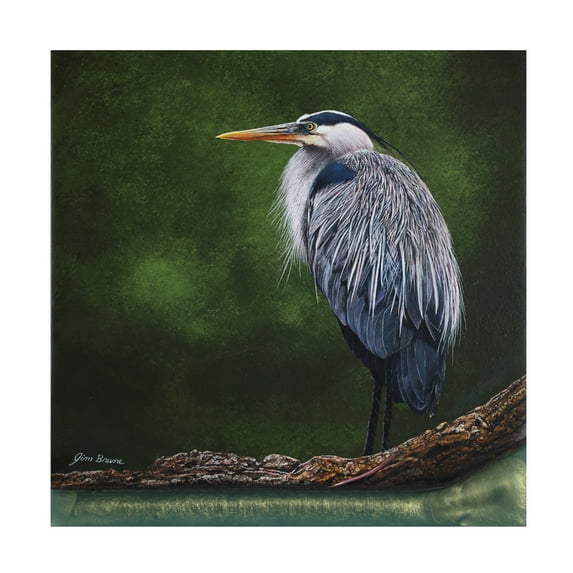 Canvas Wall Art - Jim Brune 'Great Blue Heron in Marsh' Wall Art for Living Room, Bedroom, or Office Décor by Trademark Fine Art - 14 x 14 Inches