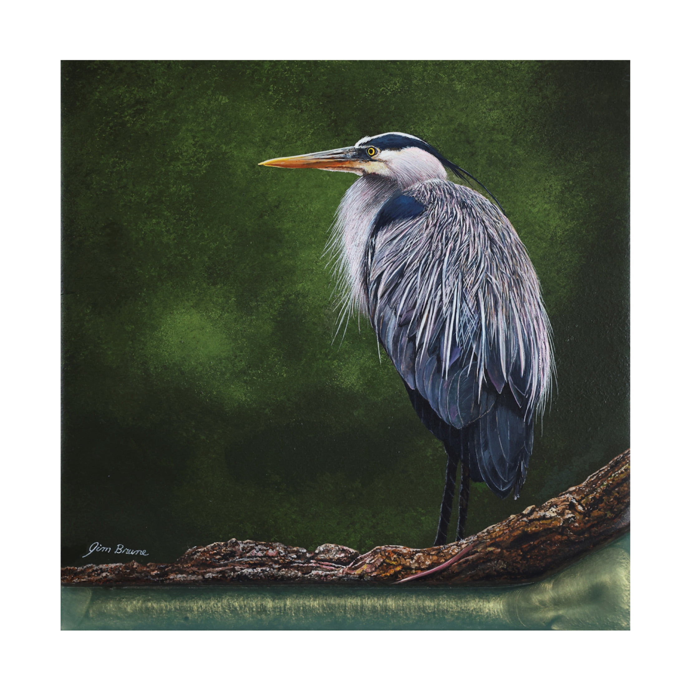 Canvas Wall Art - Jim Brune 'Great Blue Heron in Marsh' Wall Art for Living Room, Bedroom, or Office Décor by Trademark Fine Art - 24 x 24 Inches