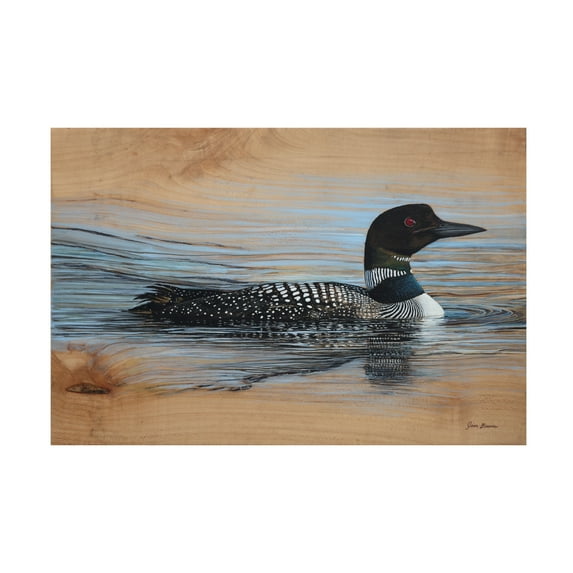 Canvas Wall Art - Jim Brune 'Loon Reflection' Wall Art for Living Room, Bedroom, or Office Décor by Trademark Fine Art - 47 x 30 Inches - 47x30