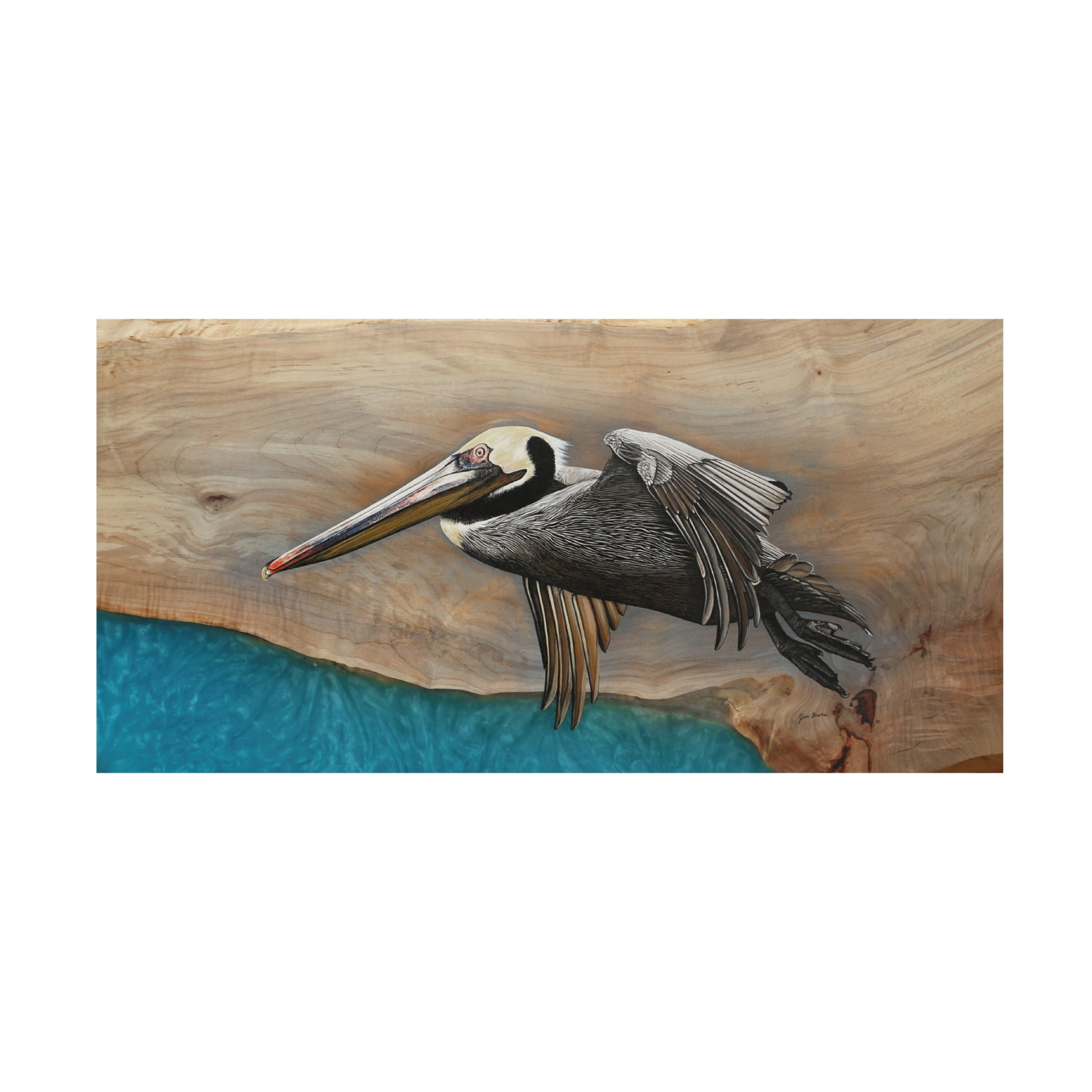 Canvas Wall Art - Jim Brune 'Pelican Over Turquoise Water' Wall Art for Living Room, Bedroom, or Office Décor by Trademark Fine Art - 32 x 16 Inches