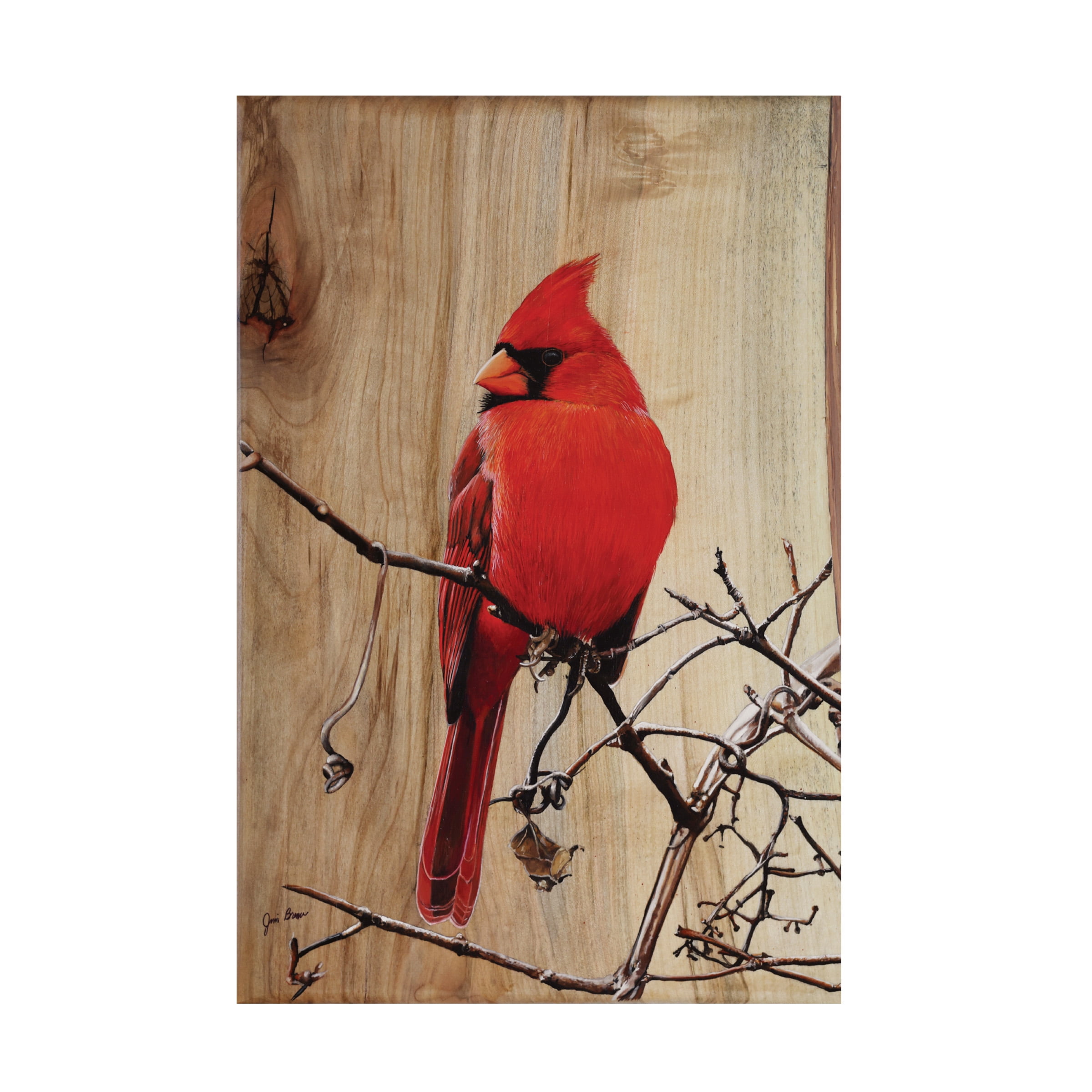 Canvas Wall Art - Jim Brune 'Regal Cardinal' Wall Art for Living Room, Bedroom, or Office DÃ©cor by Trademark Fine Art - 12 x 19 Inches