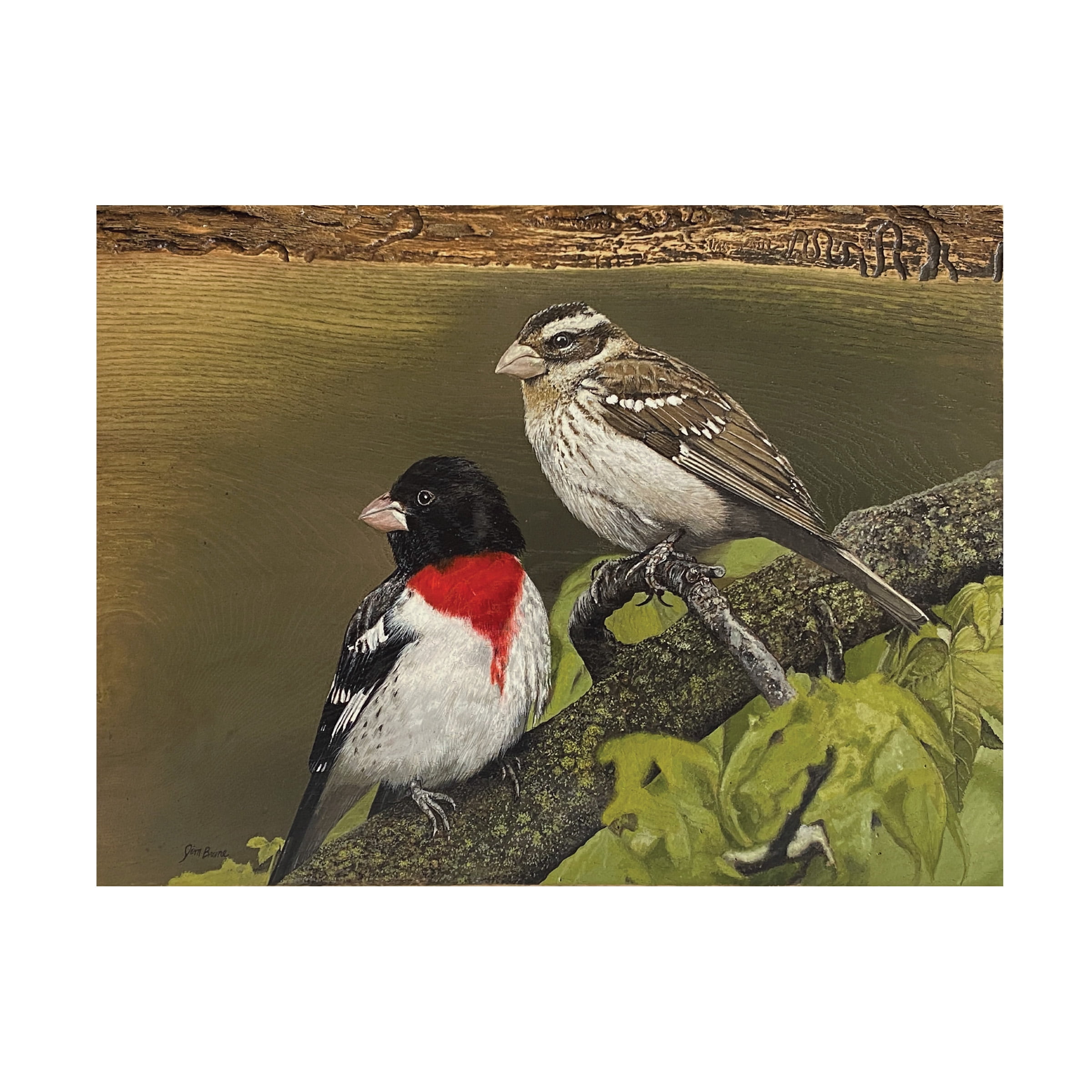 Canvas Wall Art - Jim Brune 'Rose Breasted Grosbeak Pair' Wall Art for Living Room, Bedroom, or Office DÃ©cor by Trademark Fine Art - 32 x 24 Inches