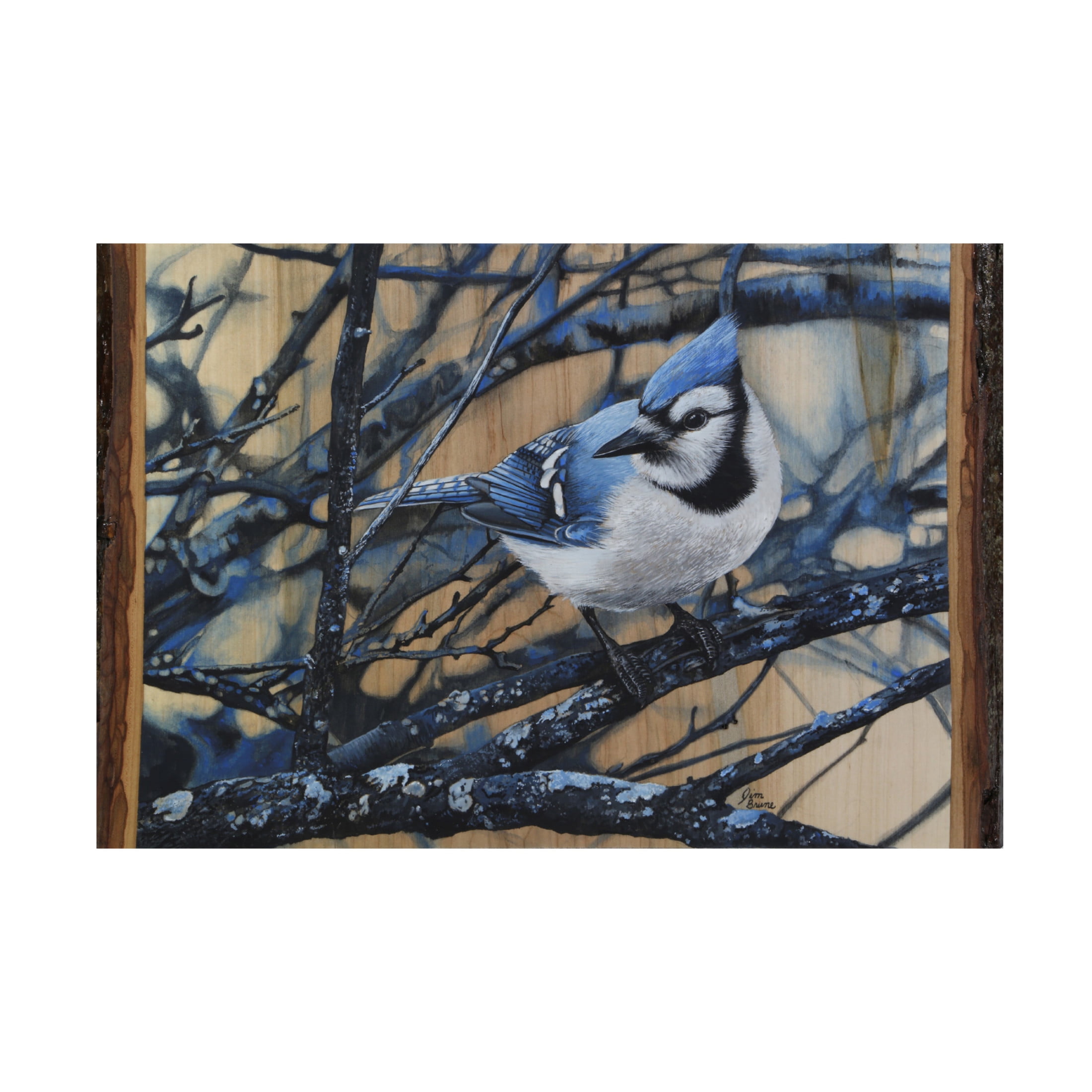 Canvas Wall Art - Jim Brune 'The Blue Jays Blues' Wall Art for Living Room, Bedroom, or Office Décor by Trademark Fine Art - 19 x 12 Inches