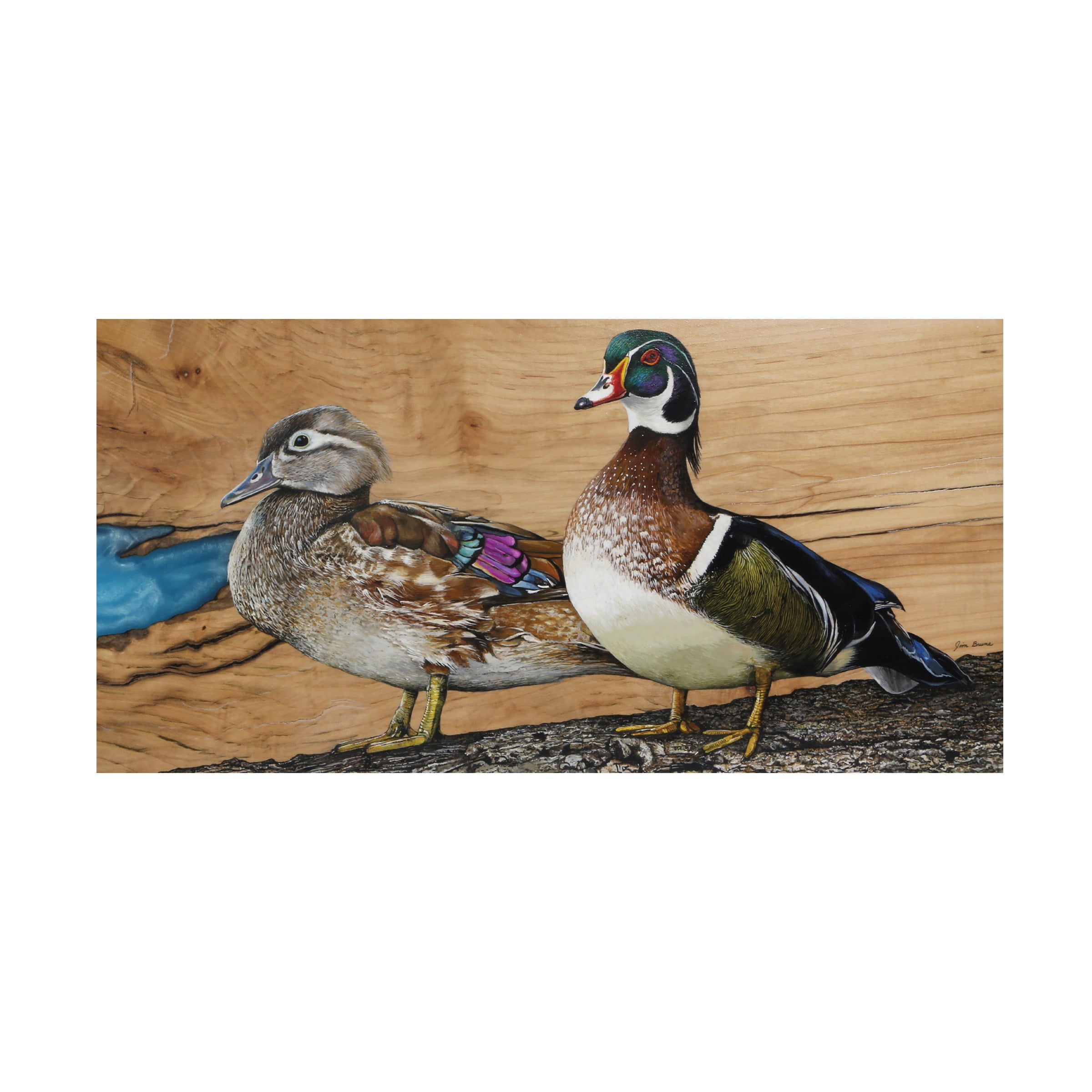 Canvas Wall Art - Jim Brune 'Wood Ducks Home Sweet Home' Wall Art for Living Room, Bedroom, or Office Décor by Trademark Fine Art - 32 x 16 Inches