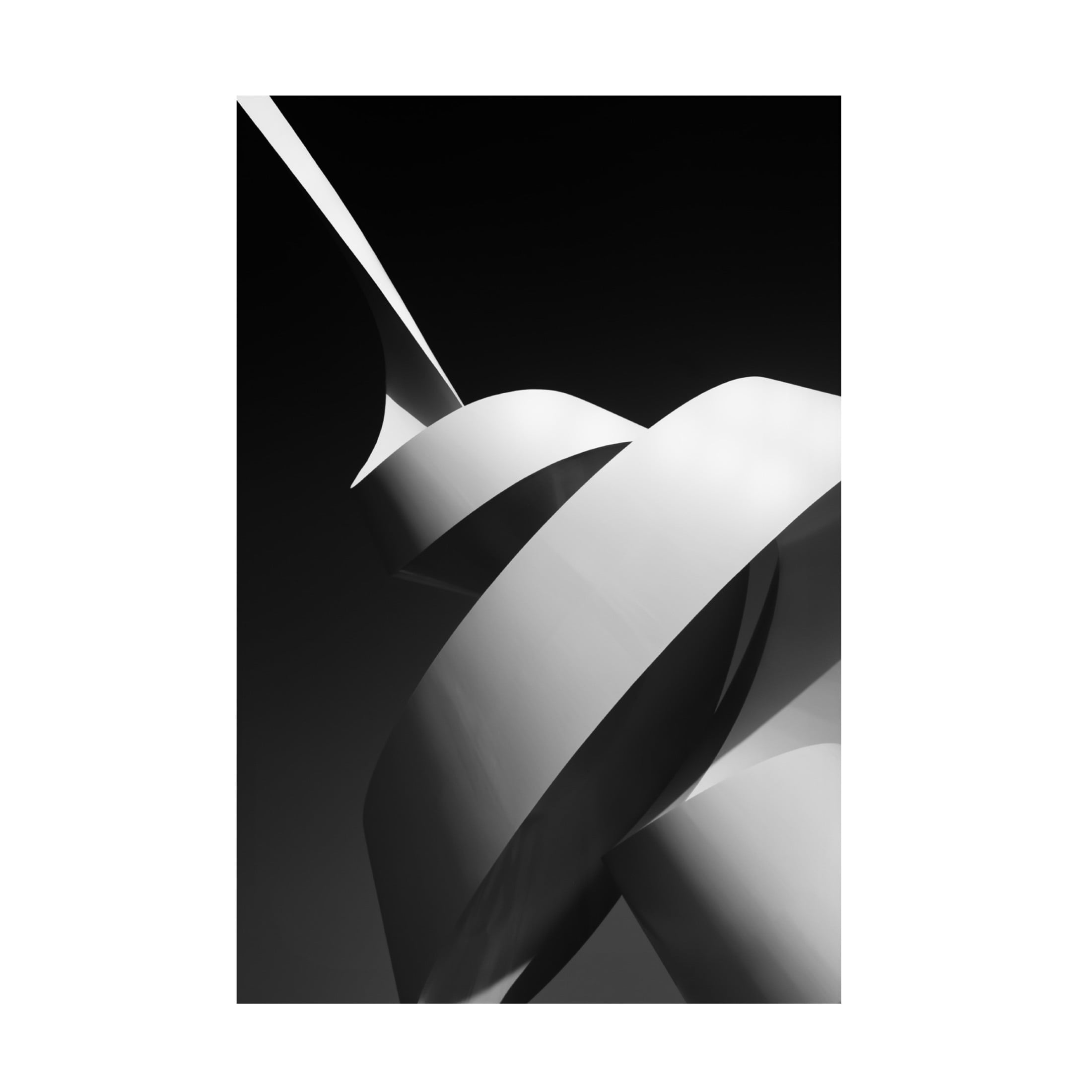 Canvas Wall Art - Joao Galamba 'The Scroll' Wall Art for Living Room, Bedroom, or Office Décor by Trademark Fine Art - 30 x 47 Inches