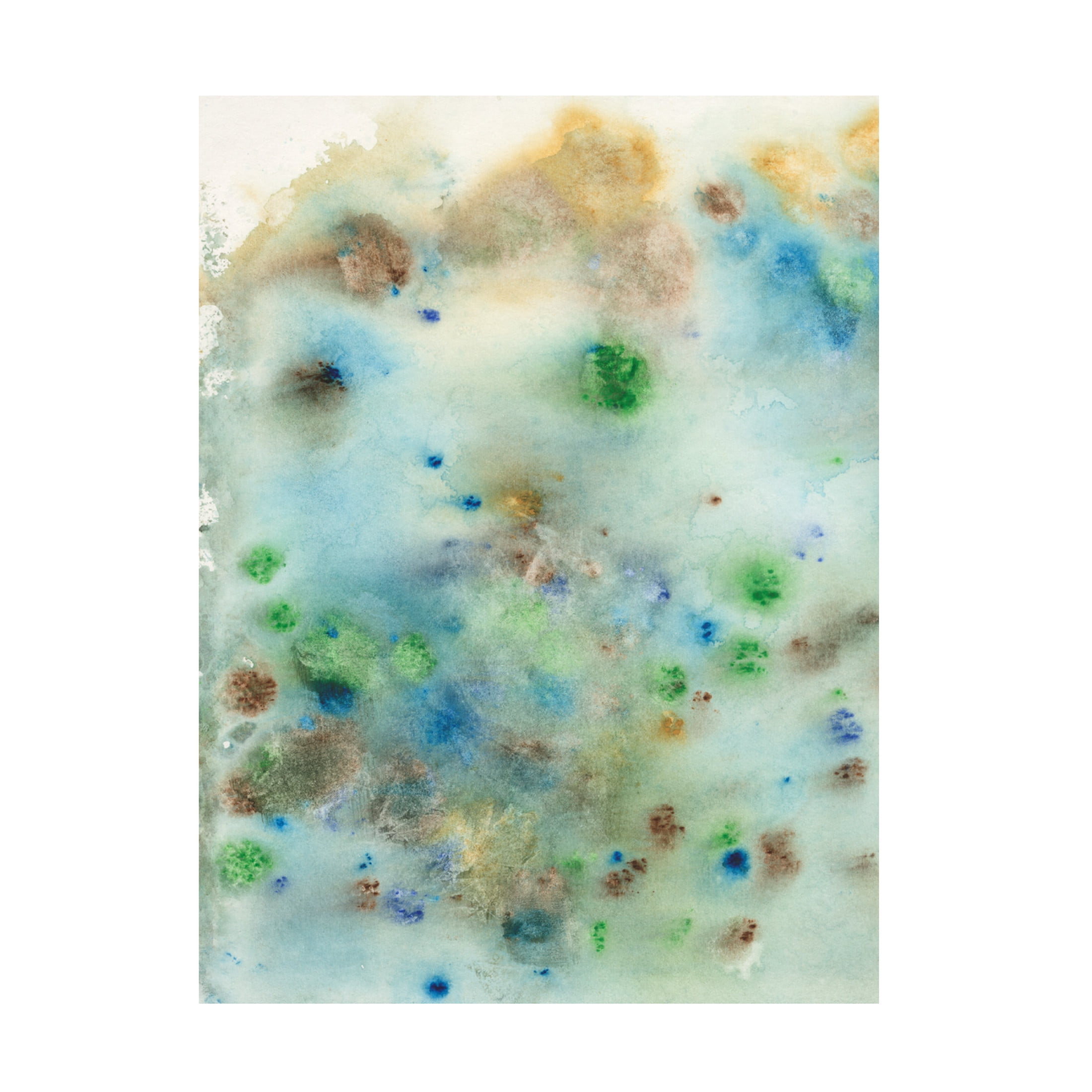 Canvas Wall Art - Jodi Fuchs 'Hawaiian Rain I' Wall Art for Living Room, Bedroom, or Office Décor by Trademark Fine Art - 35 x 47 Inches