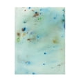 thumbnail image 1 of Canvas Wall Art - Jodi Fuchs 'Hawaiian Rain III' Wall Art for Living Room, Bedroom, or Office Décor by Trademark Fine Art - 14 x 19 Inches, 1 of 4