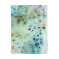 Canvas Wall Art - Jodi Fuchs 'Hawaiian Rain IV' Wall Art for Living Room, Bedroom, or Office Décor by Trademark Fine Art - 14 x 19 Inches