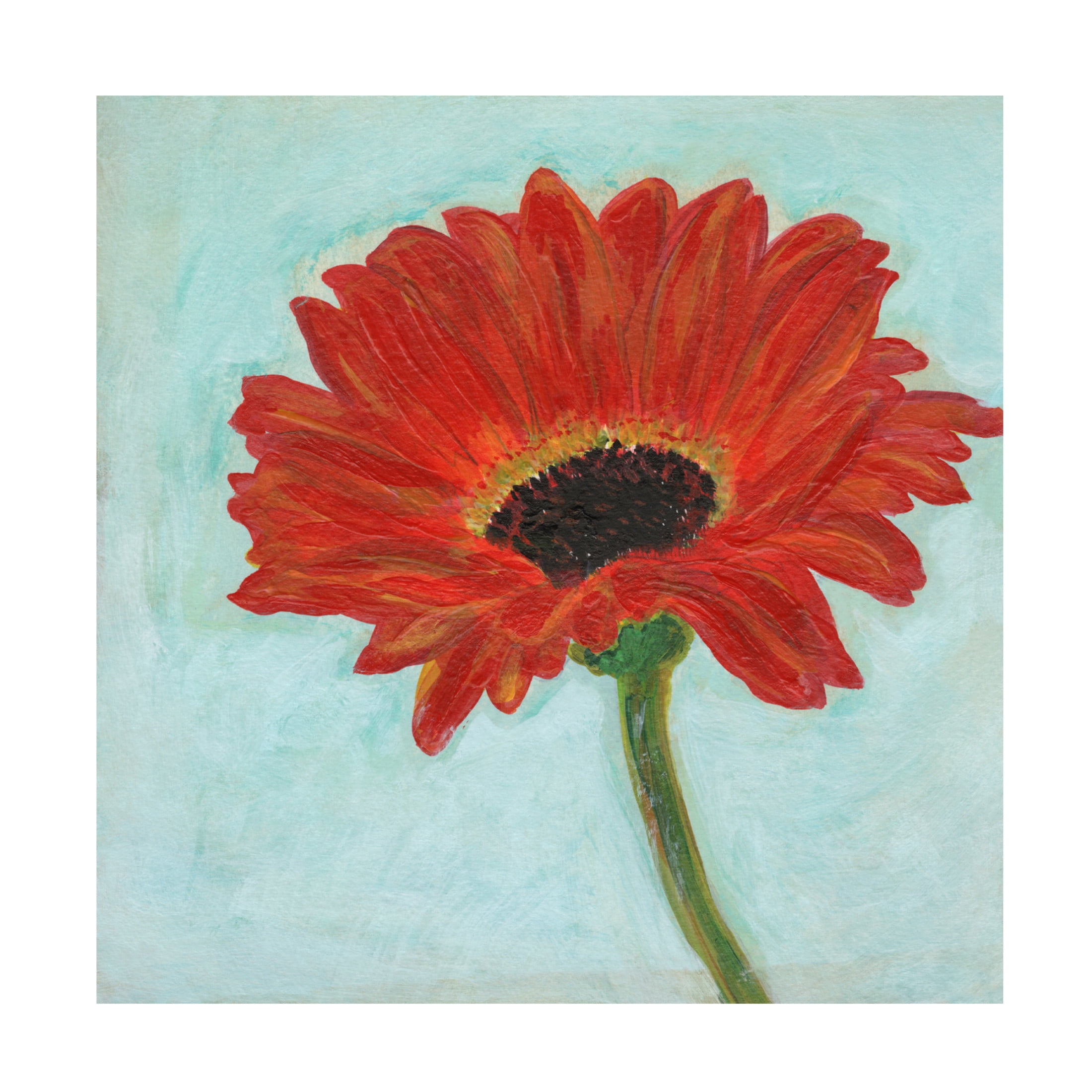 Canvas Wall Art - Jodi Fuchs 'Super Daisy I' Wall Art for Living Room, Bedroom, or Office Décor by Trademark Fine Art - 14 x 14 Inches