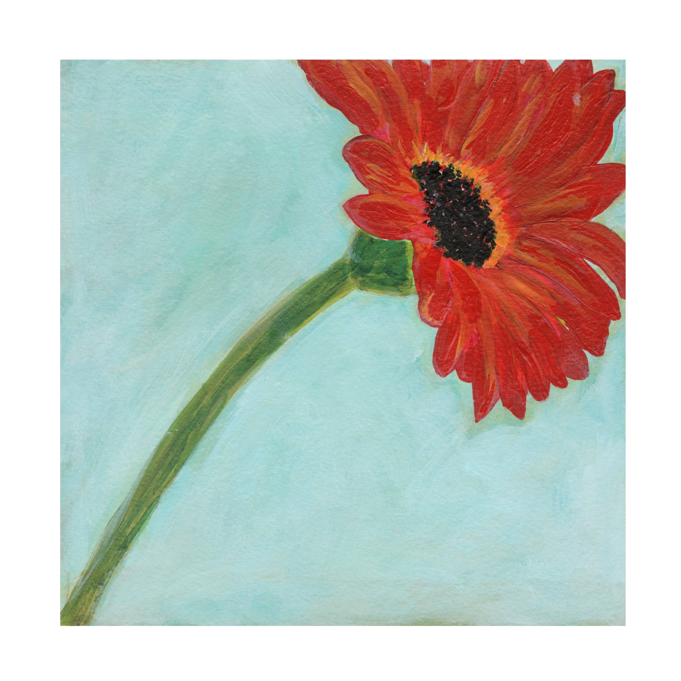 Canvas Wall Art - Jodi Fuchs 'Super Daisy II' Wall Art for Living Room, Bedroom, or Office Décor by Trademark Fine Art - 35 x 35 Inches