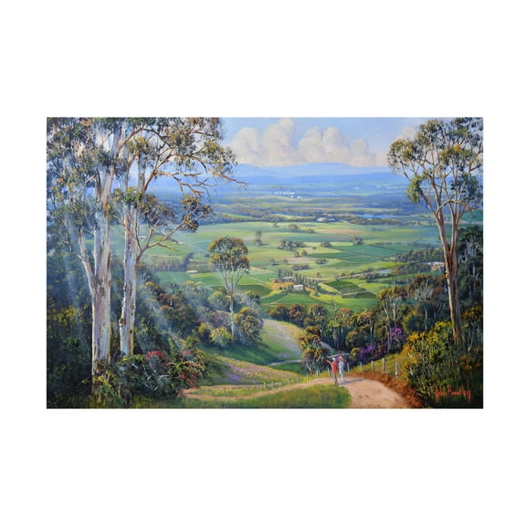 Canvas Wall Art - John Bradley 'Pokolbin Mountain Lookdown' Wall Art for Living Room, Bedroom, or Office Décor by Trademark Fine Art - 19 x 12 Inches