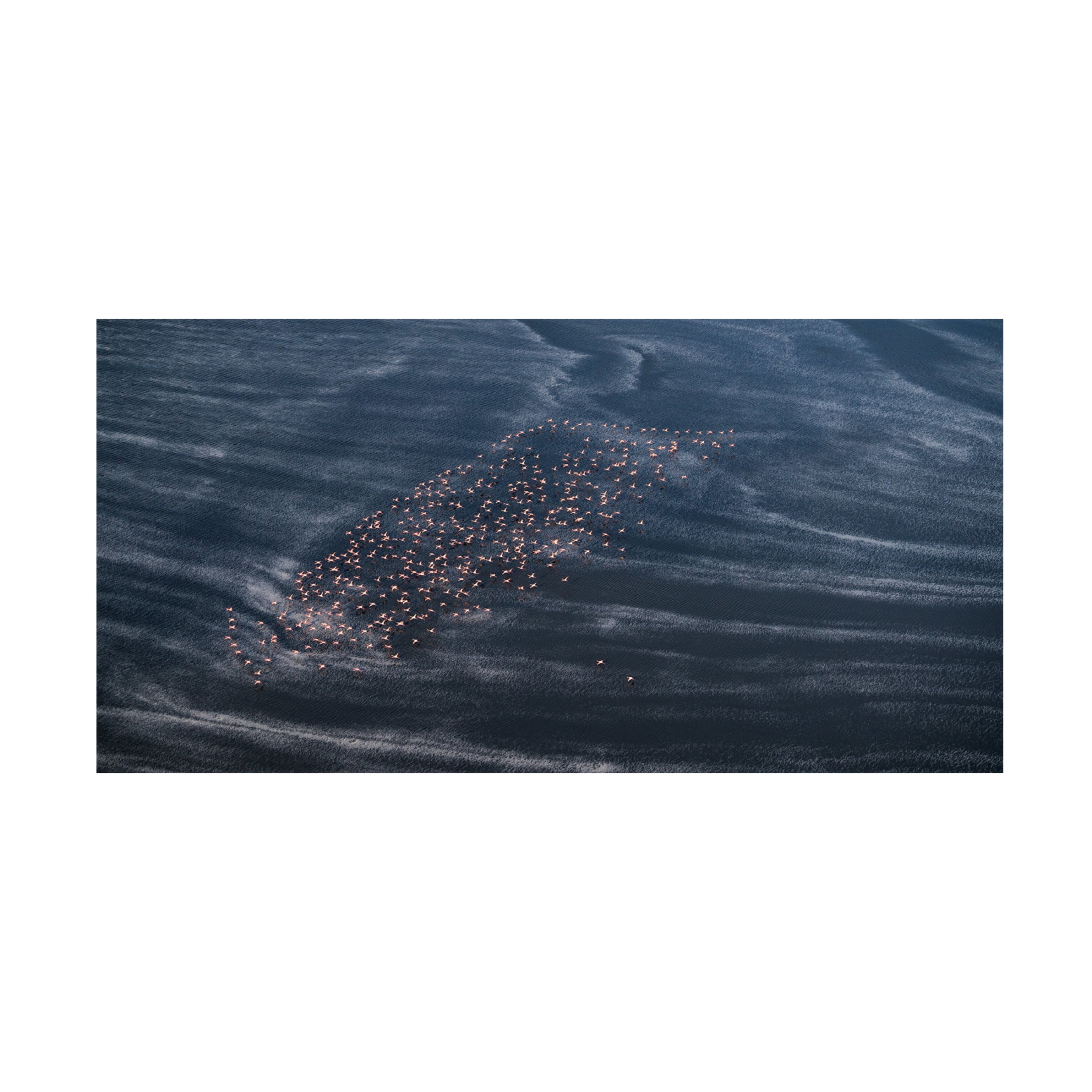 Canvas Wall Art - John Fan 'Wave Runner Ii' Wall Art for Living Room, Bedroom, or Office Décor by Trademark Fine Art - 24 x 12 Inches