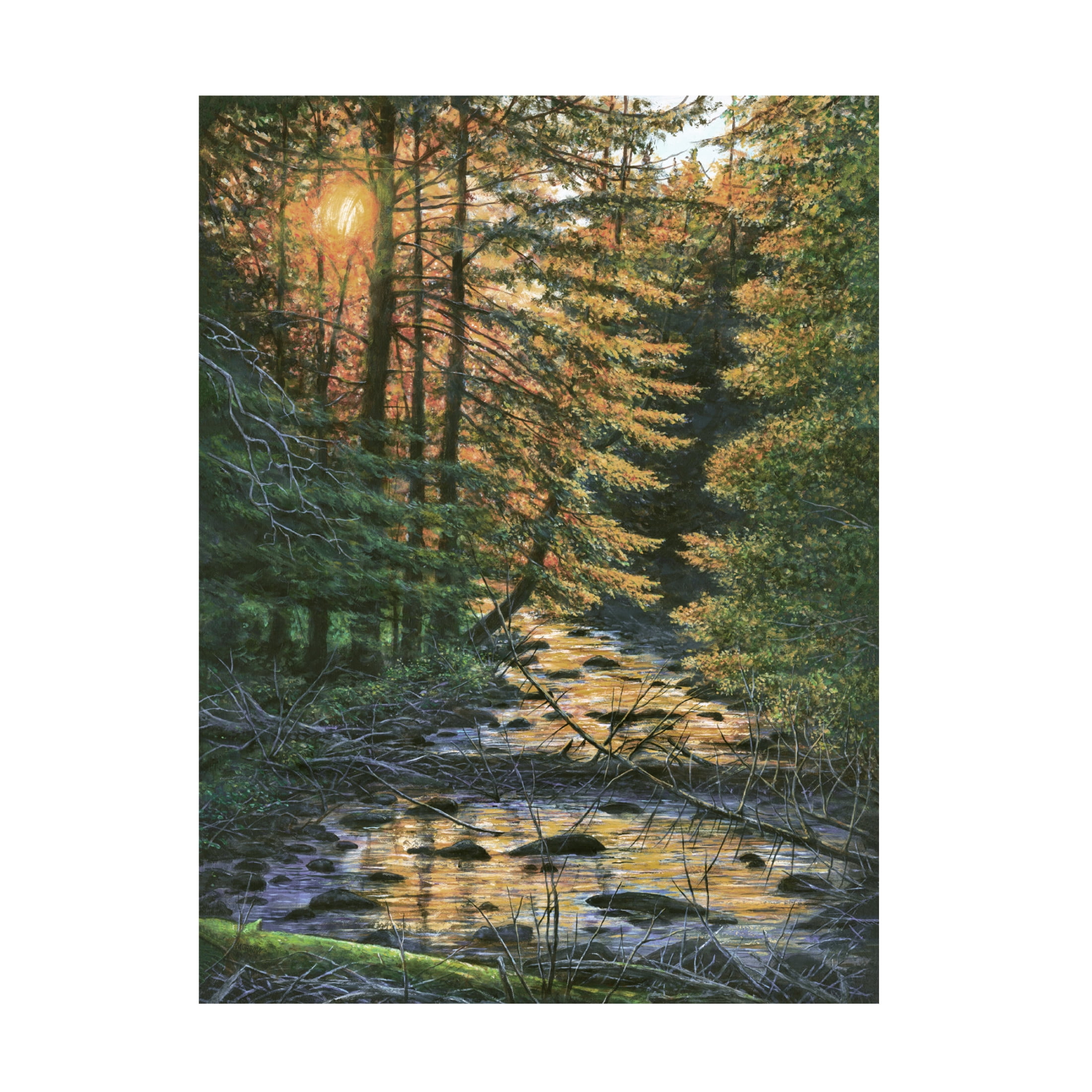 Canvas Wall Art - John Morrow 'A Branch of Cold Brook' Wall Art for Living Room, Bedroom, or Office Décor by Trademark Fine Art - 35 x 47 Inches