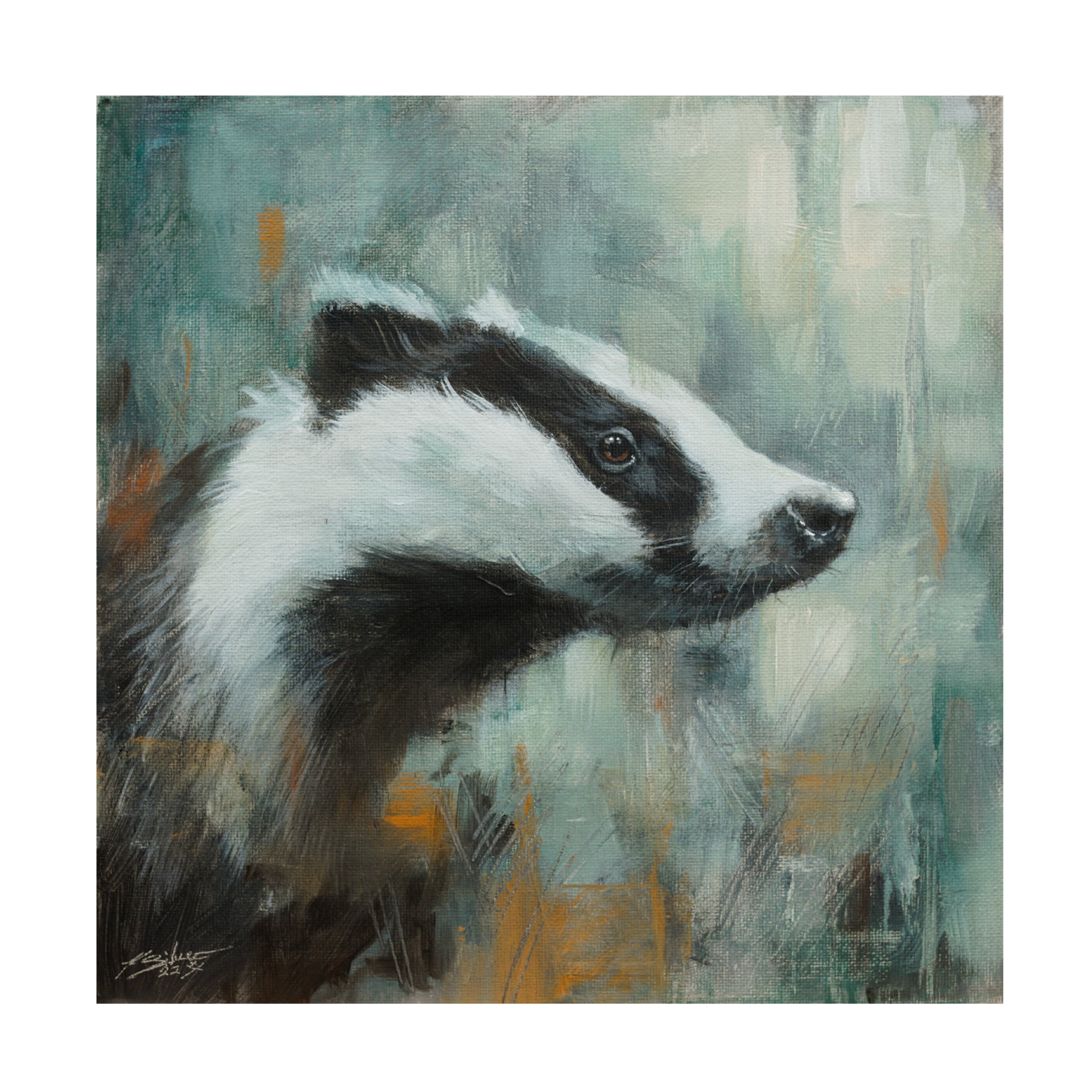 Canvas Wall Art - John Silver 'Badger' Wall Art for Living Room, Bedroom, or Office Décor by Trademark Fine Art - 14 x 14 Inches