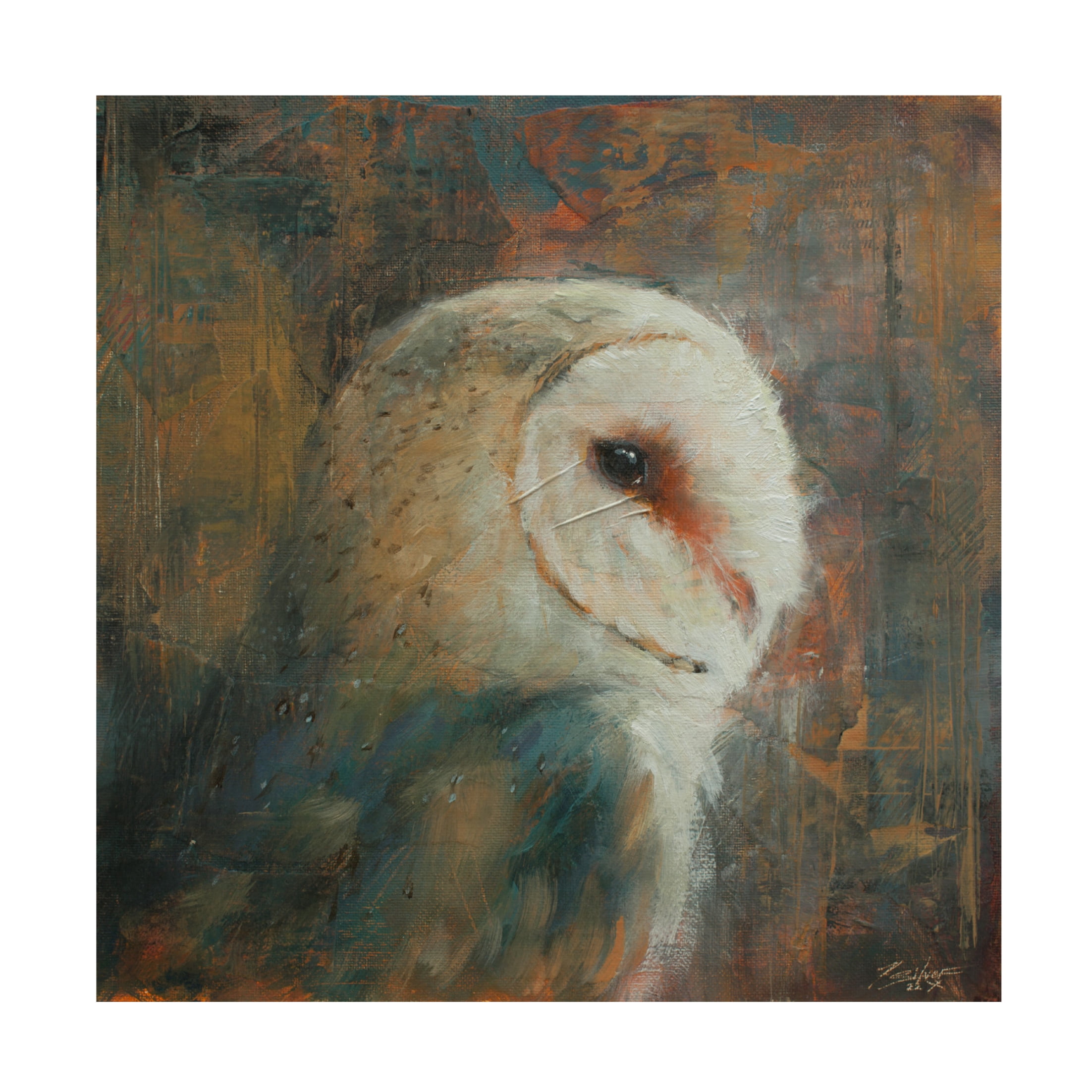 Canvas Wall Art - John Silver 'Barn Owl 1' Wall Art for Living Room, Bedroom, or Office Décor by Trademark Fine Art - 14 x 14 Inches