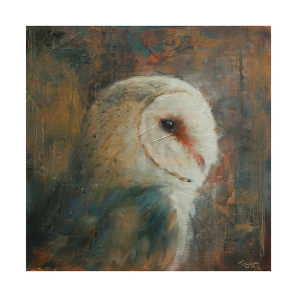 Canvas Wall Art - John Silver 'Barn Owl 1' Wall Art for Living Room, Bedroom, or Office Décor by Trademark Fine Art - 14 x 14 Inches