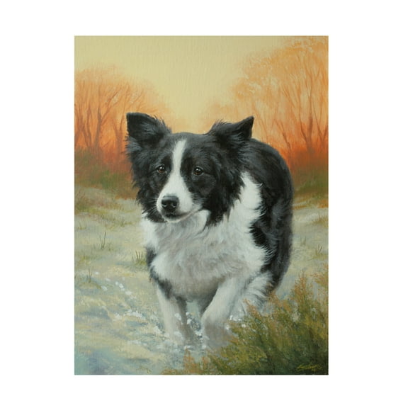 Canvas Wall Art - John Silver 'Border Collie in Winter Landscape' Wall Art for Living Room, Bedroom, or Office Décor by Trademark Fine Art - 14 x 19 Inches