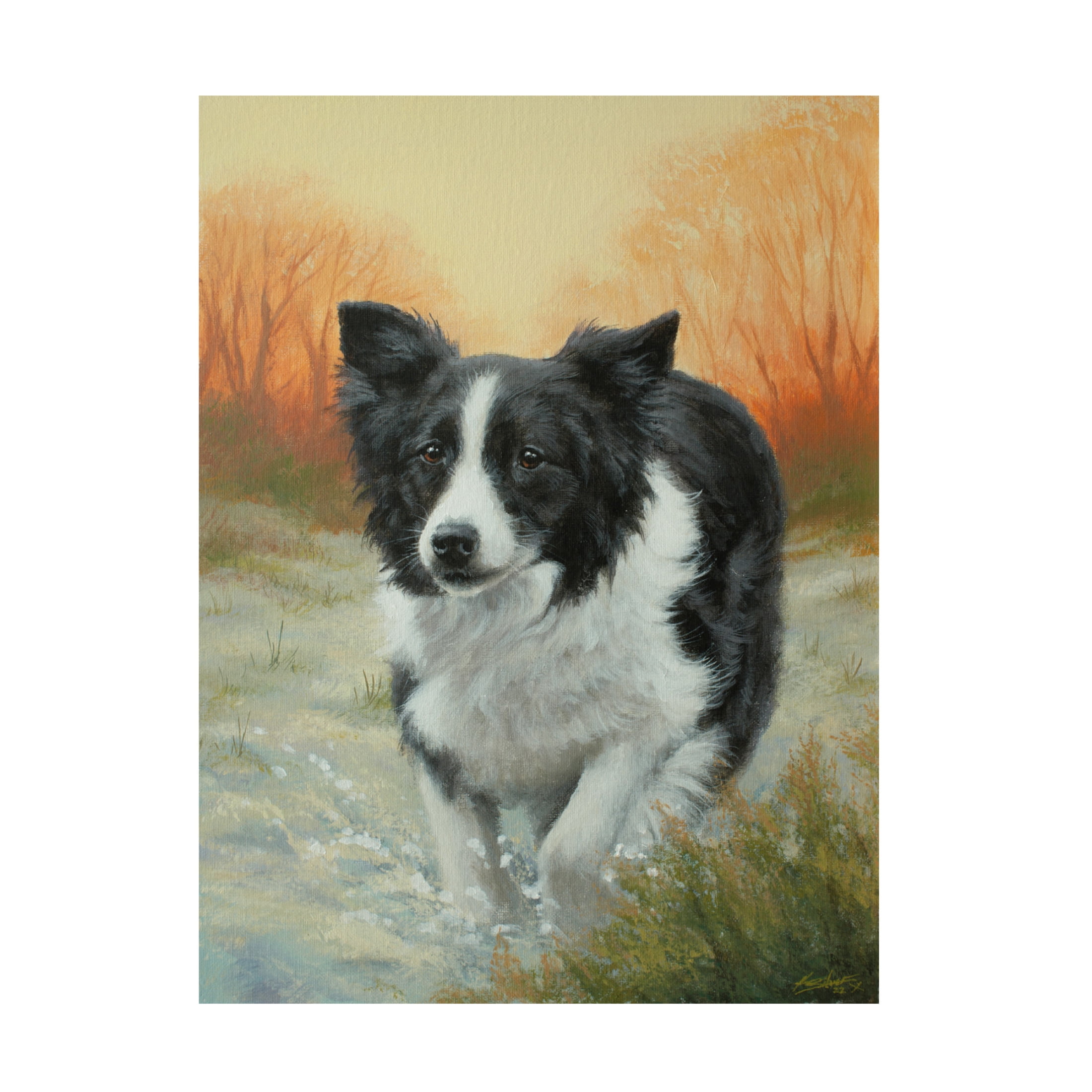 Canvas Wall Art - John Silver 'Border Collie in Winter Landscape' Wall Art for Living Room, Bedroom, or Office Décor by Trademark Fine Art - 18 x 24 Inches